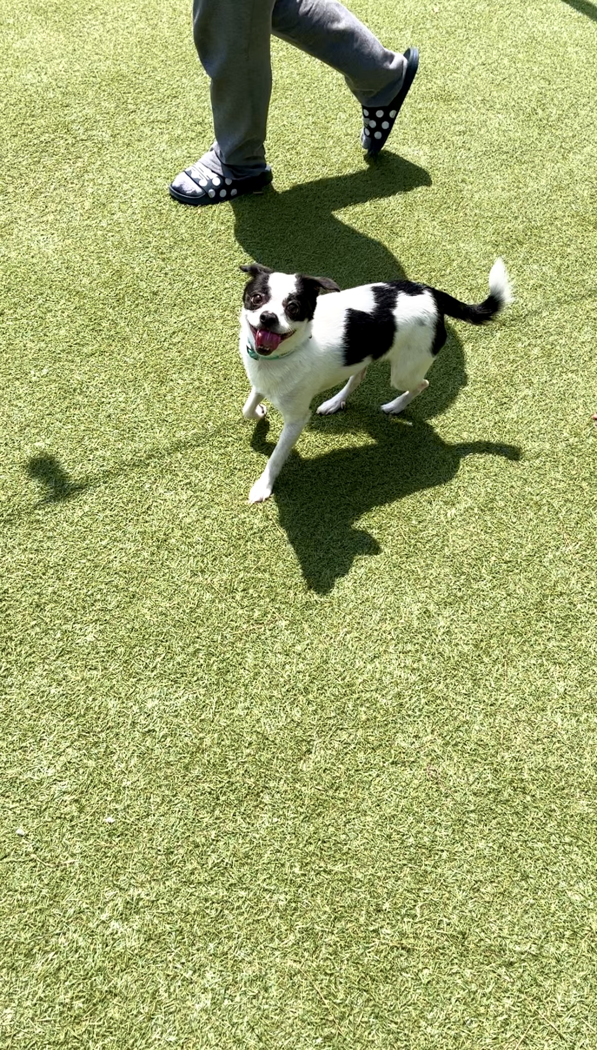 가을이(모뜨)와 2년~