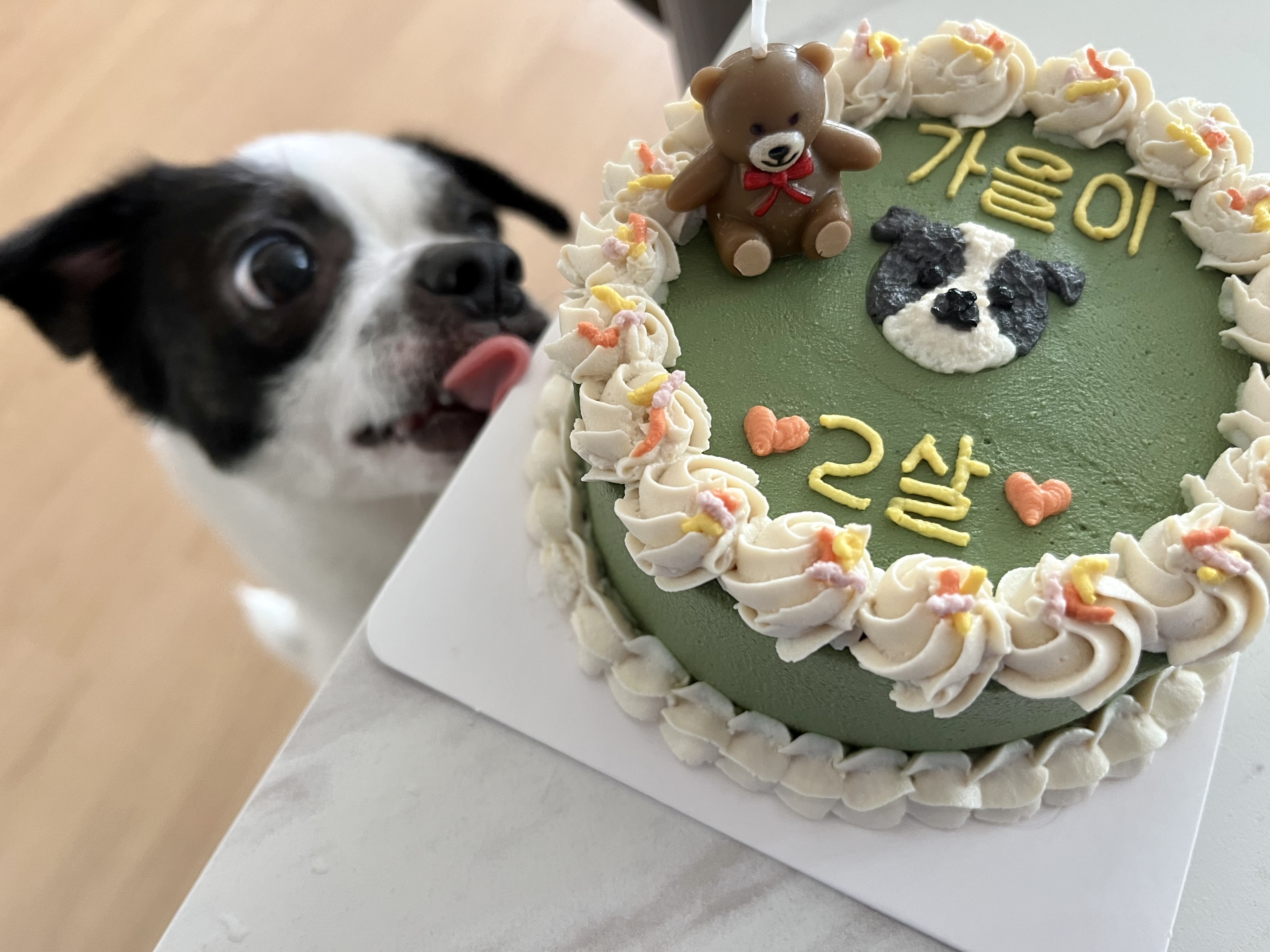 가을이(모뜨)와 2년~