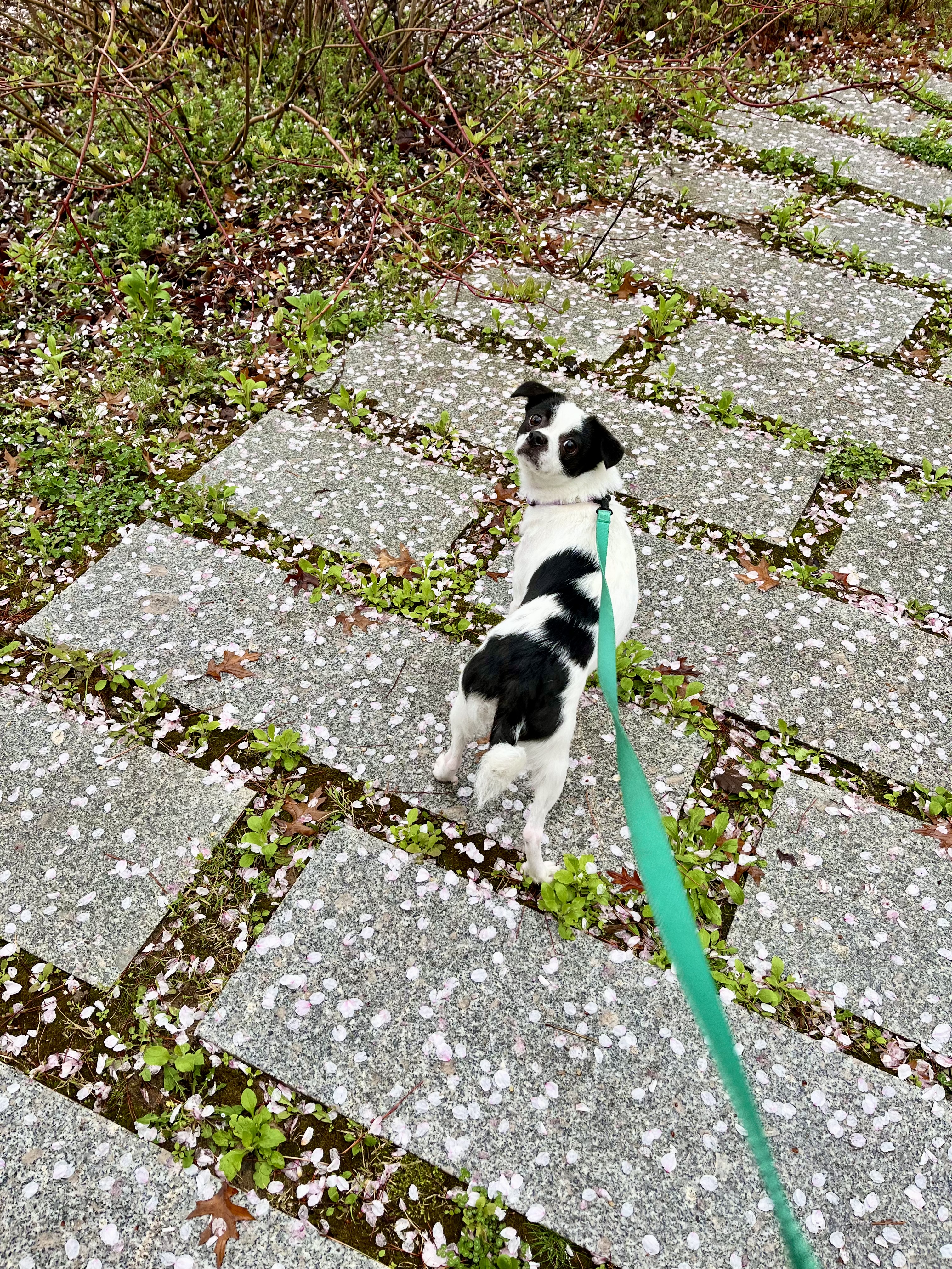 가을이(모뜨)와 2년~