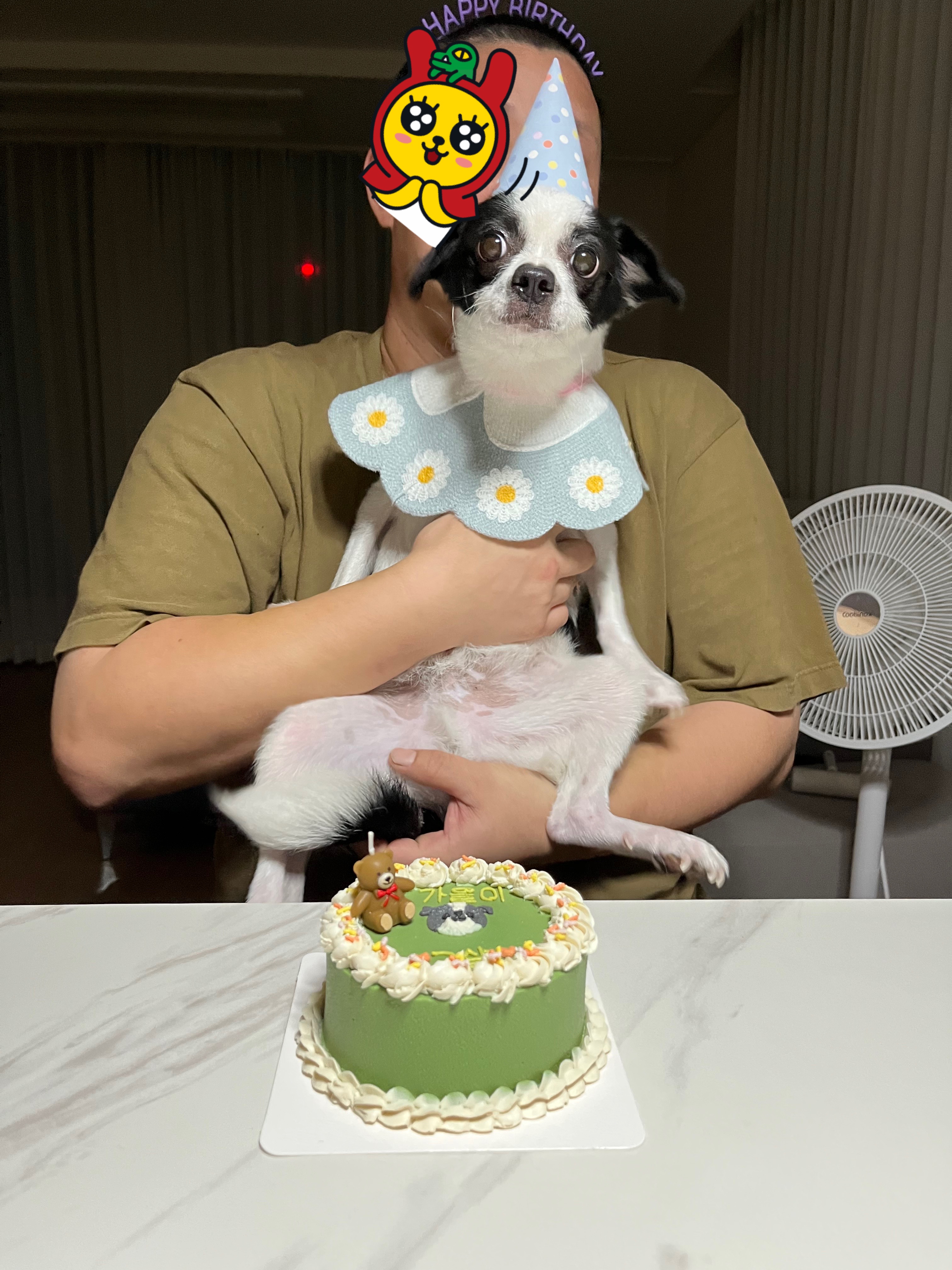 가을이(모뜨)와 2년~