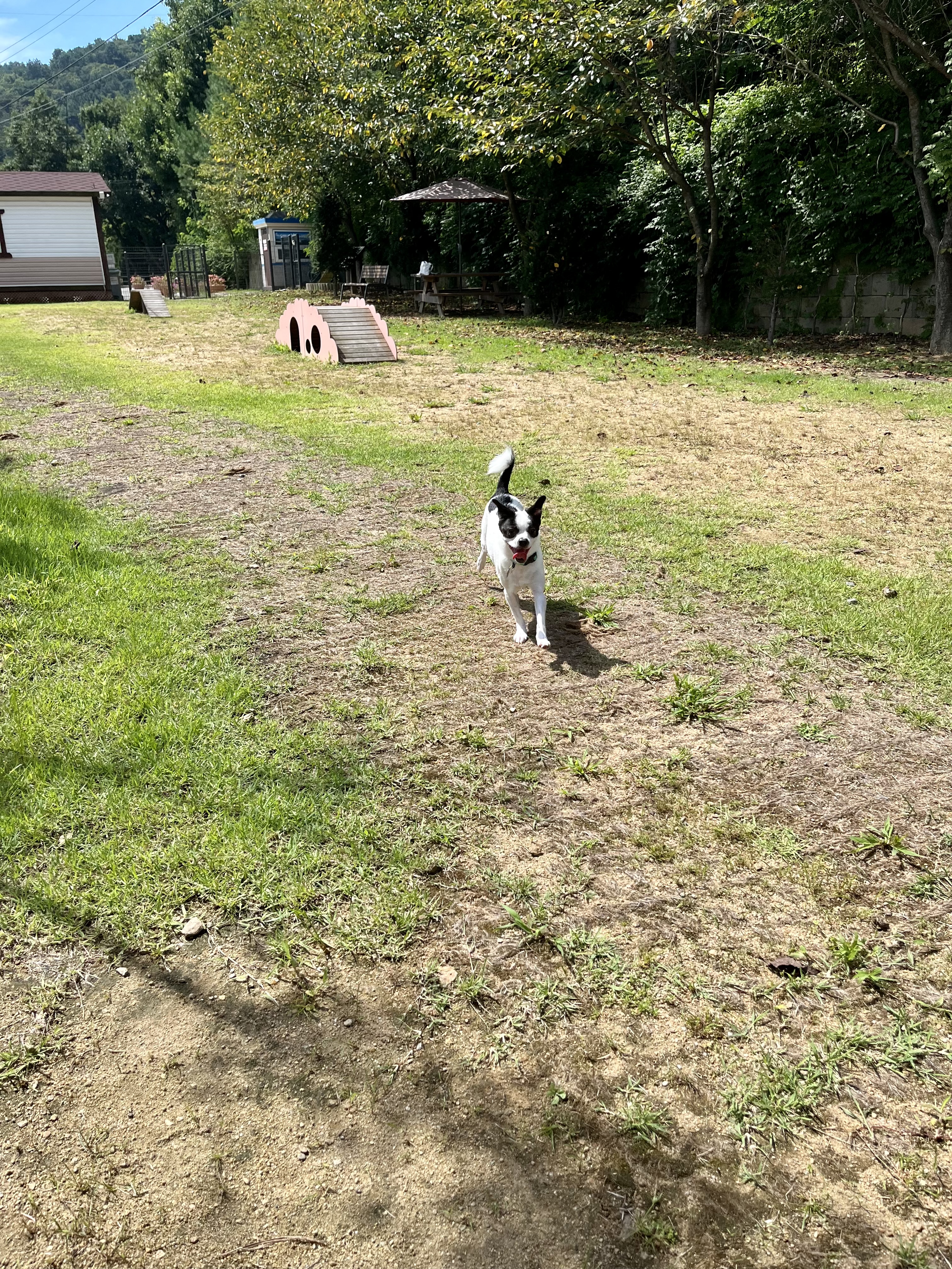 가을이(모뜨)와 2년~