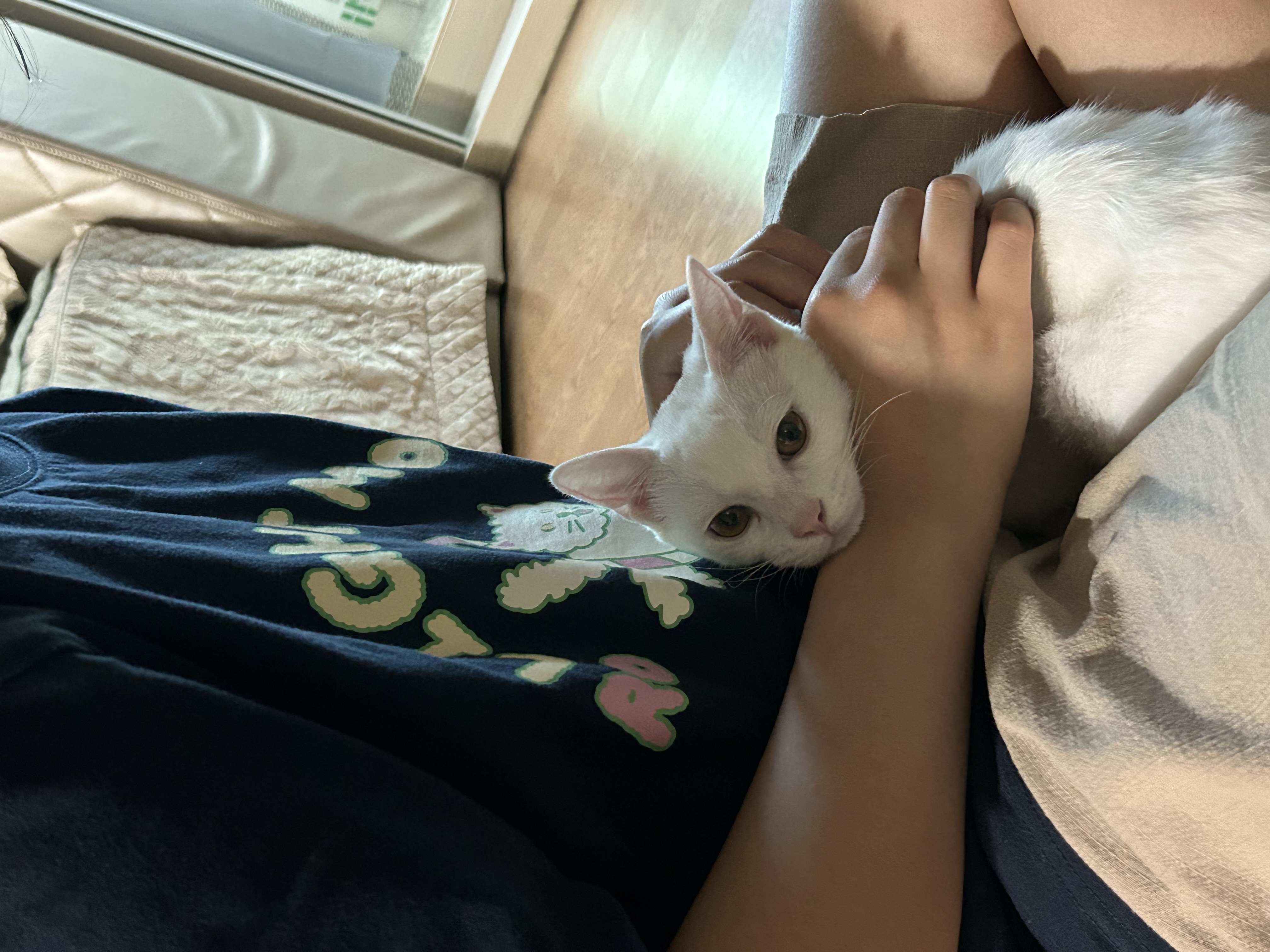 우리집 사랑둥이 막내가 된 다윈이의 첫 일주일