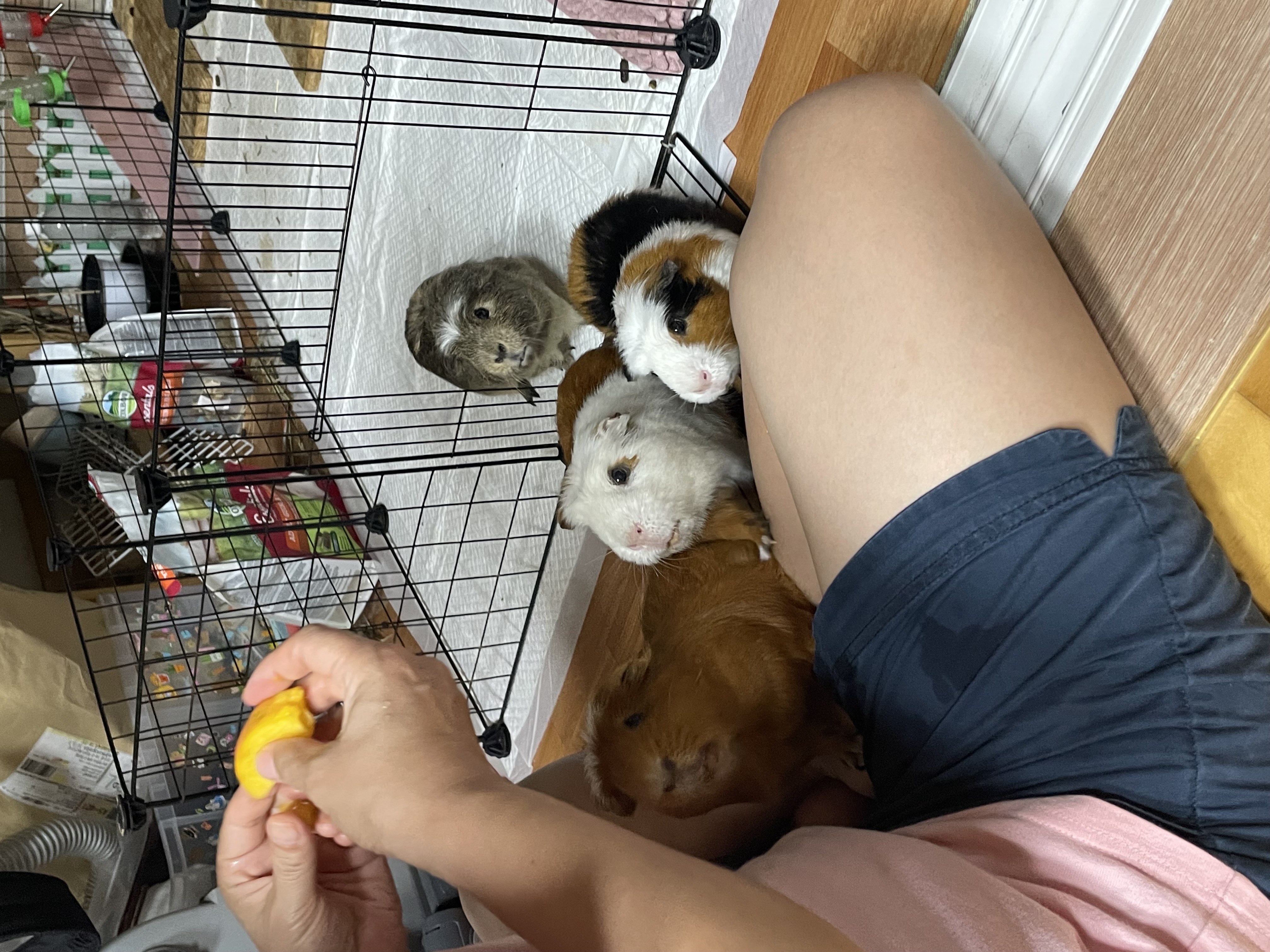 모카(홧팅)라떼(내라) 3주년><