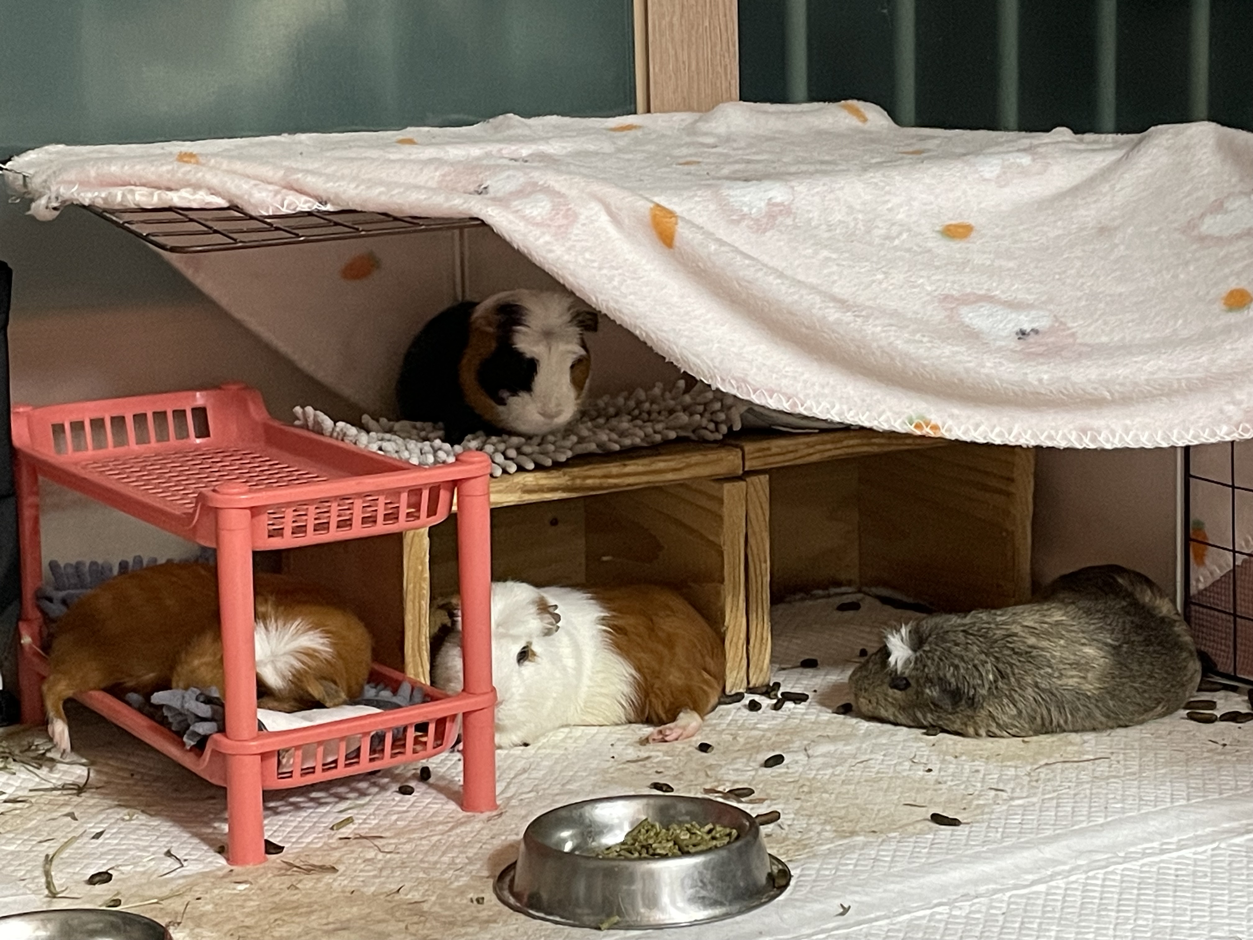 모카(홧팅)라떼(내라) 3주년><