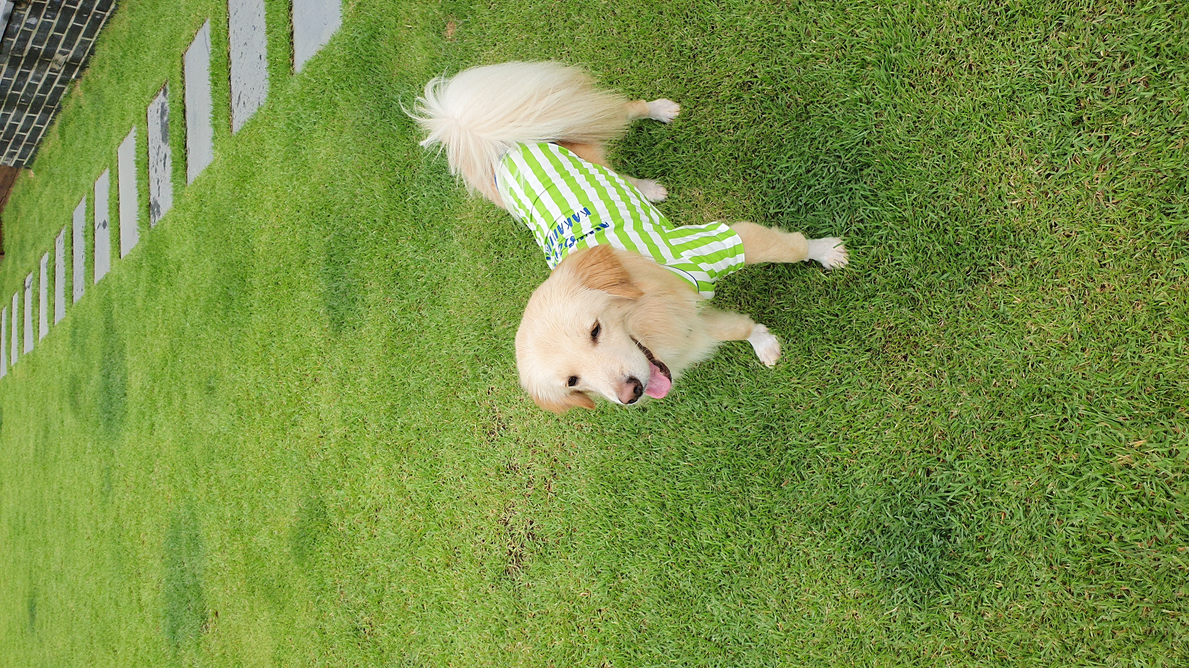 자몽이(구 육콩이)와 함께한 3개월