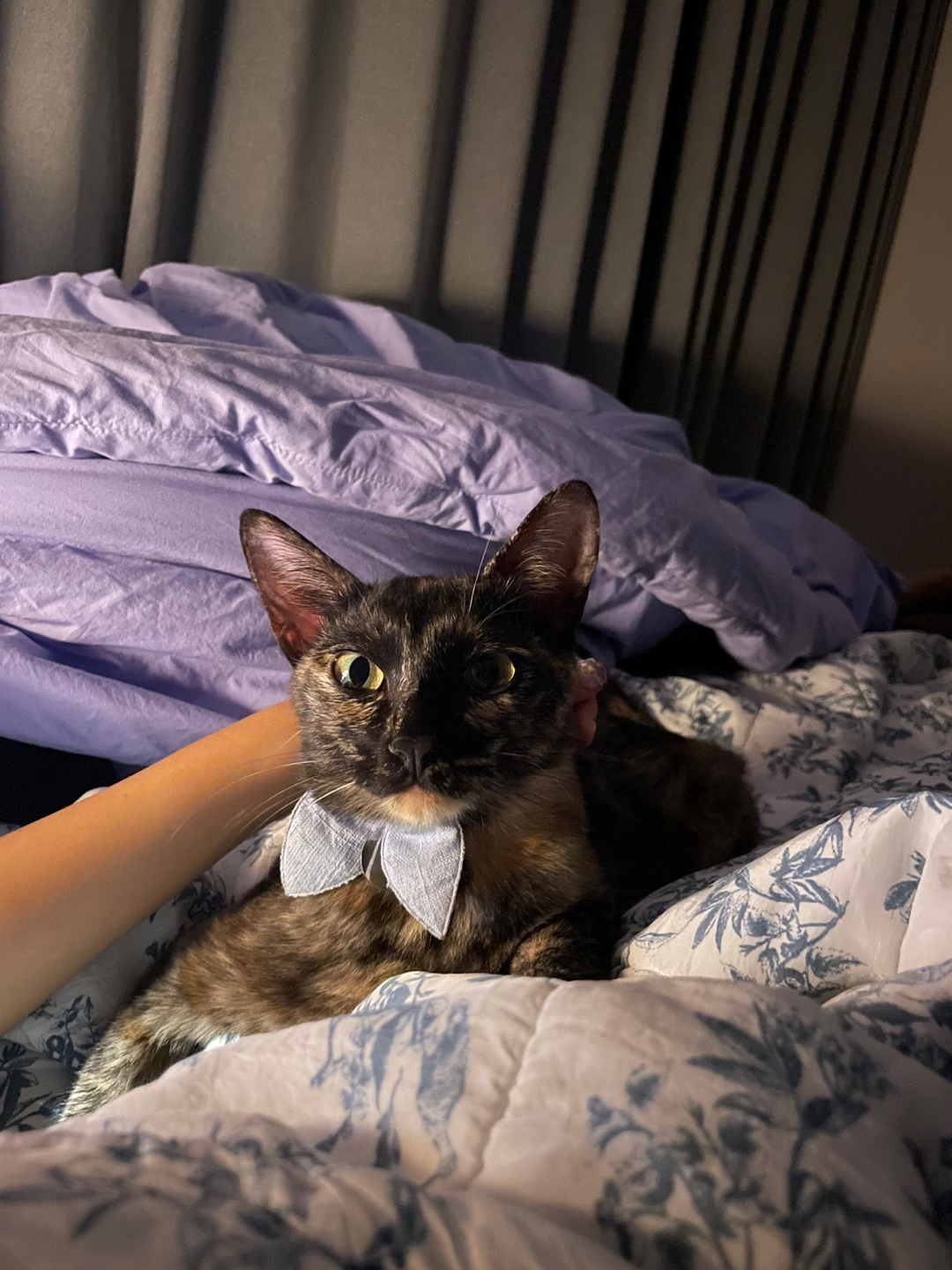 미쯔(고롱이) 와의 1 month