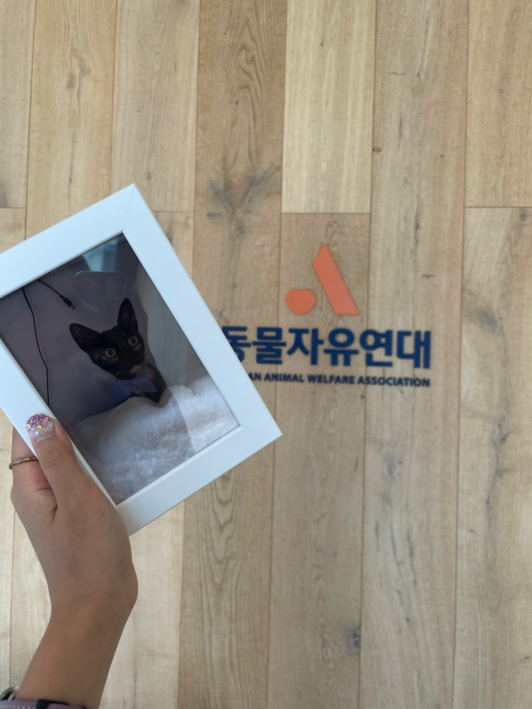 미쯔(고롱이) 와의 1 month