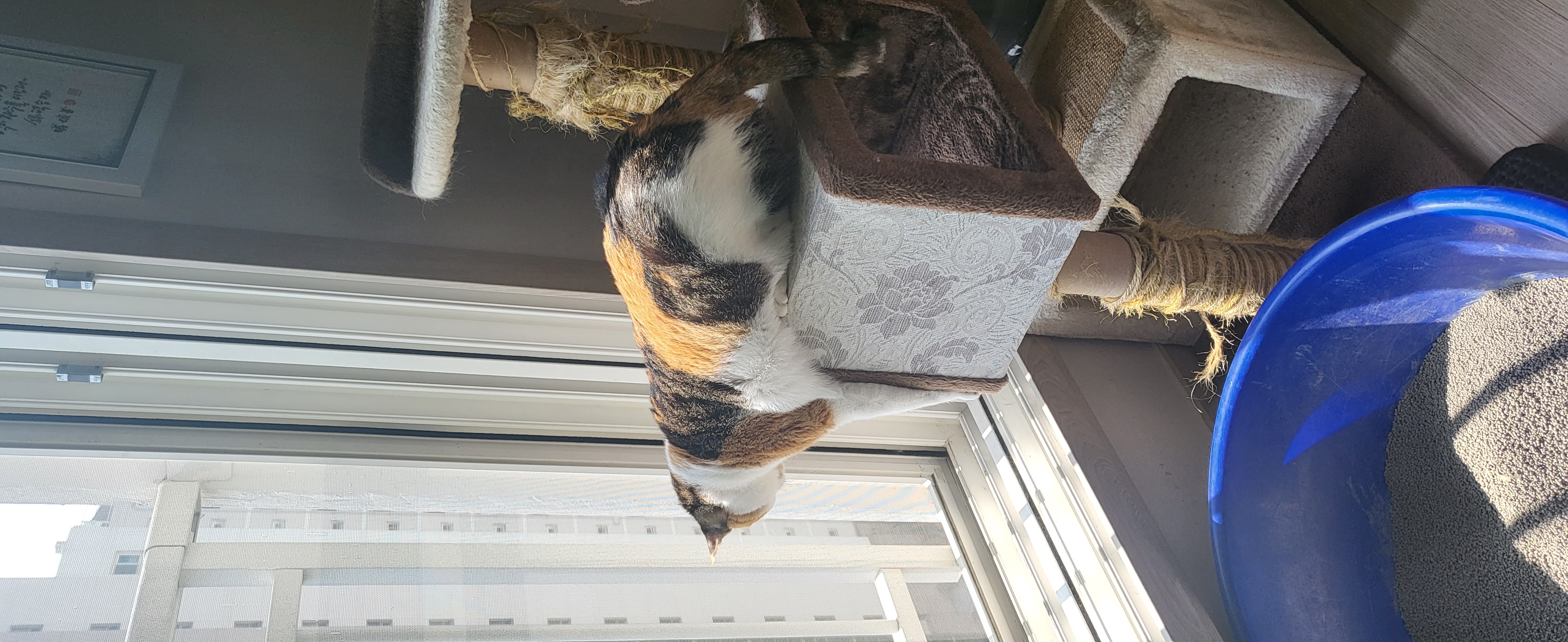 귀욤이 뽀얌이 3년