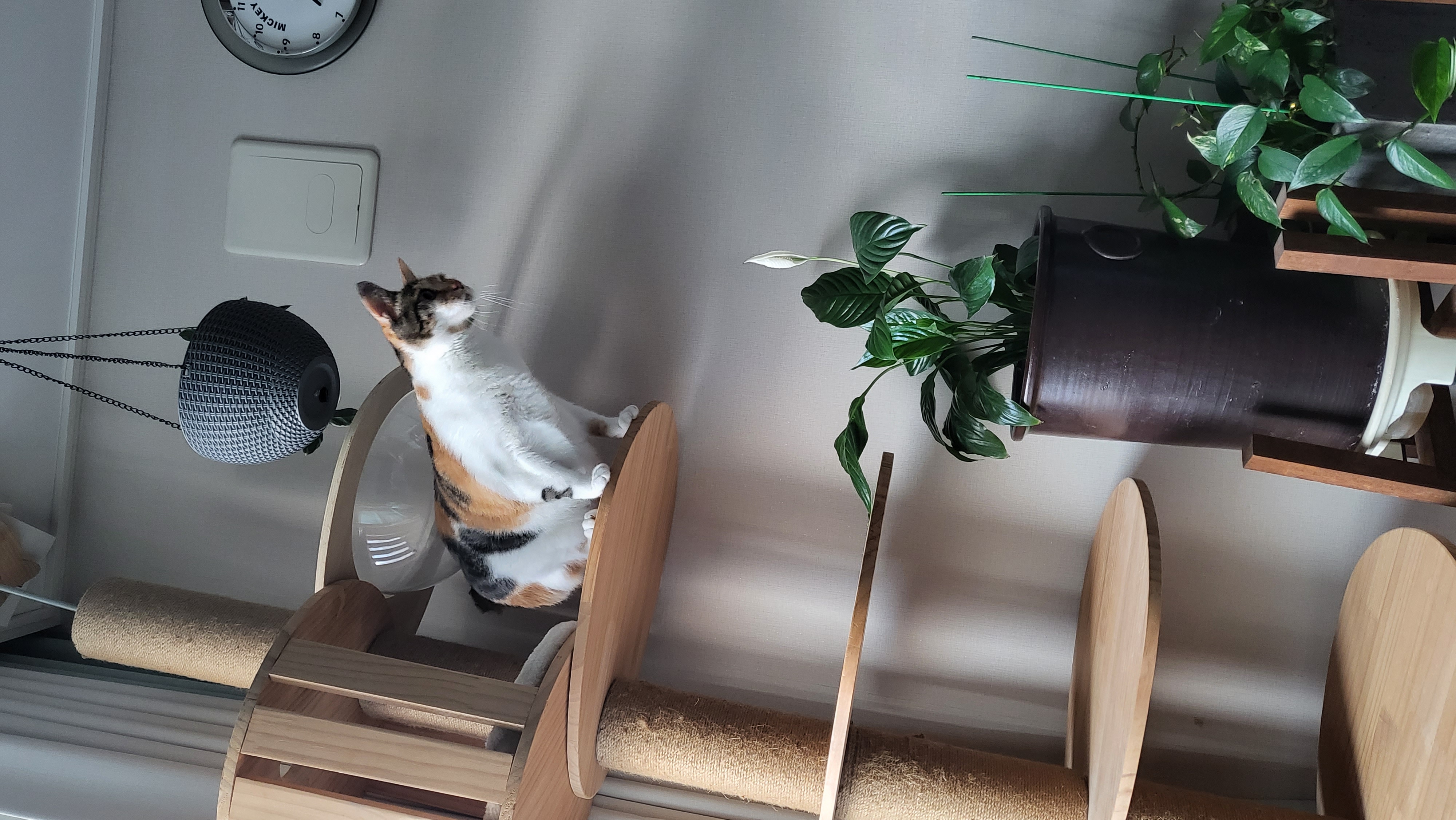 귀욤이 뽀얌이 3년