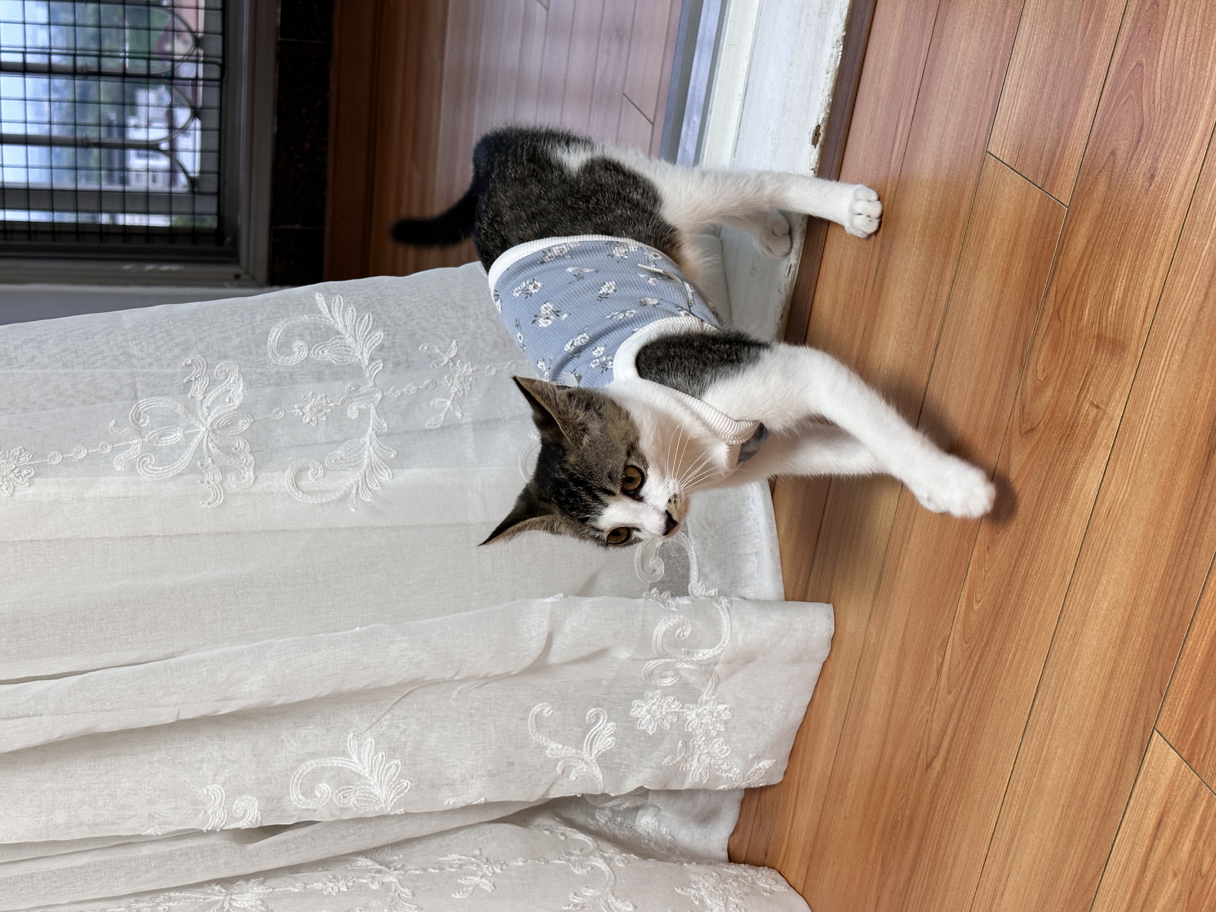 꼬무(동자연_유노)와 함께 한 30일