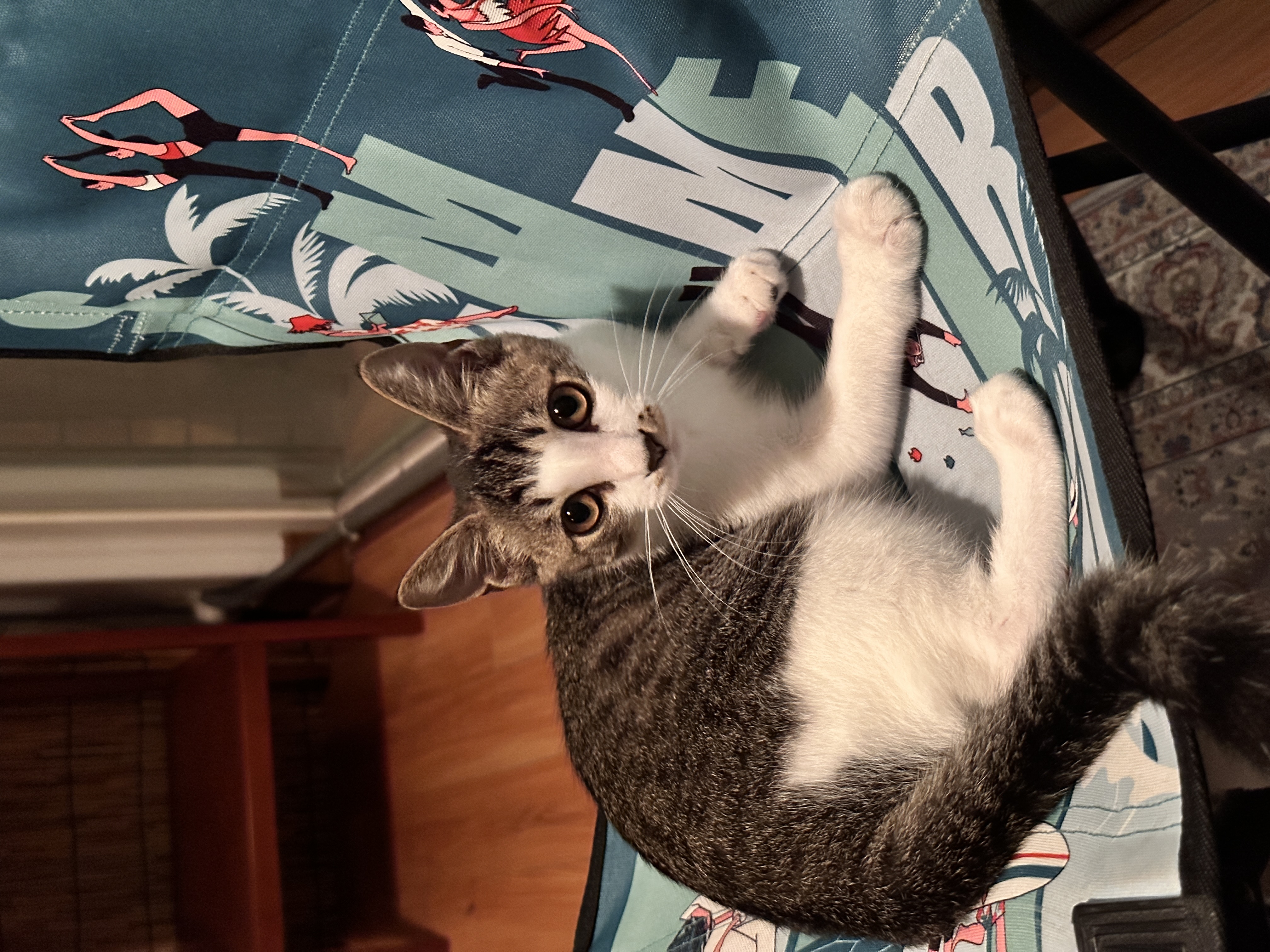 꼬무(동자연_유노)와 함께 한 30일