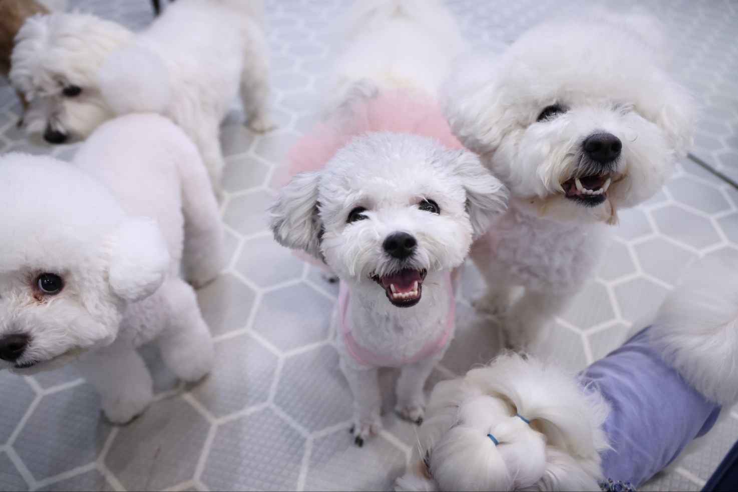 [임보] 🧡달록이🧡의  4개월