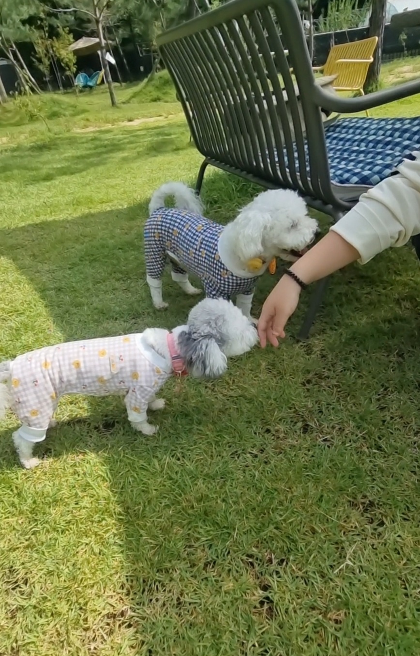 [임보] 🧡달록이🧡의  4개월