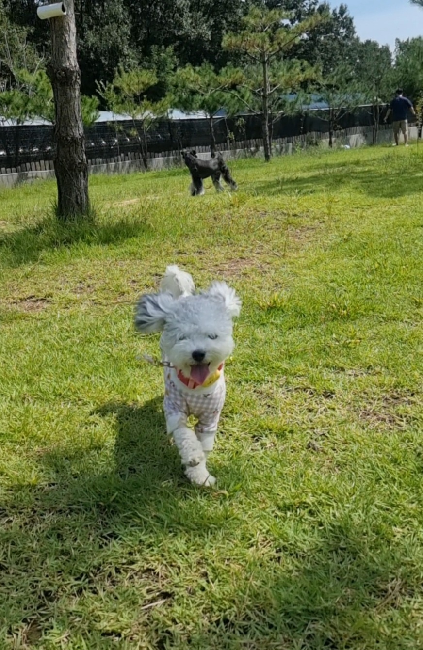 [임보] 🧡달록이🧡의  4개월