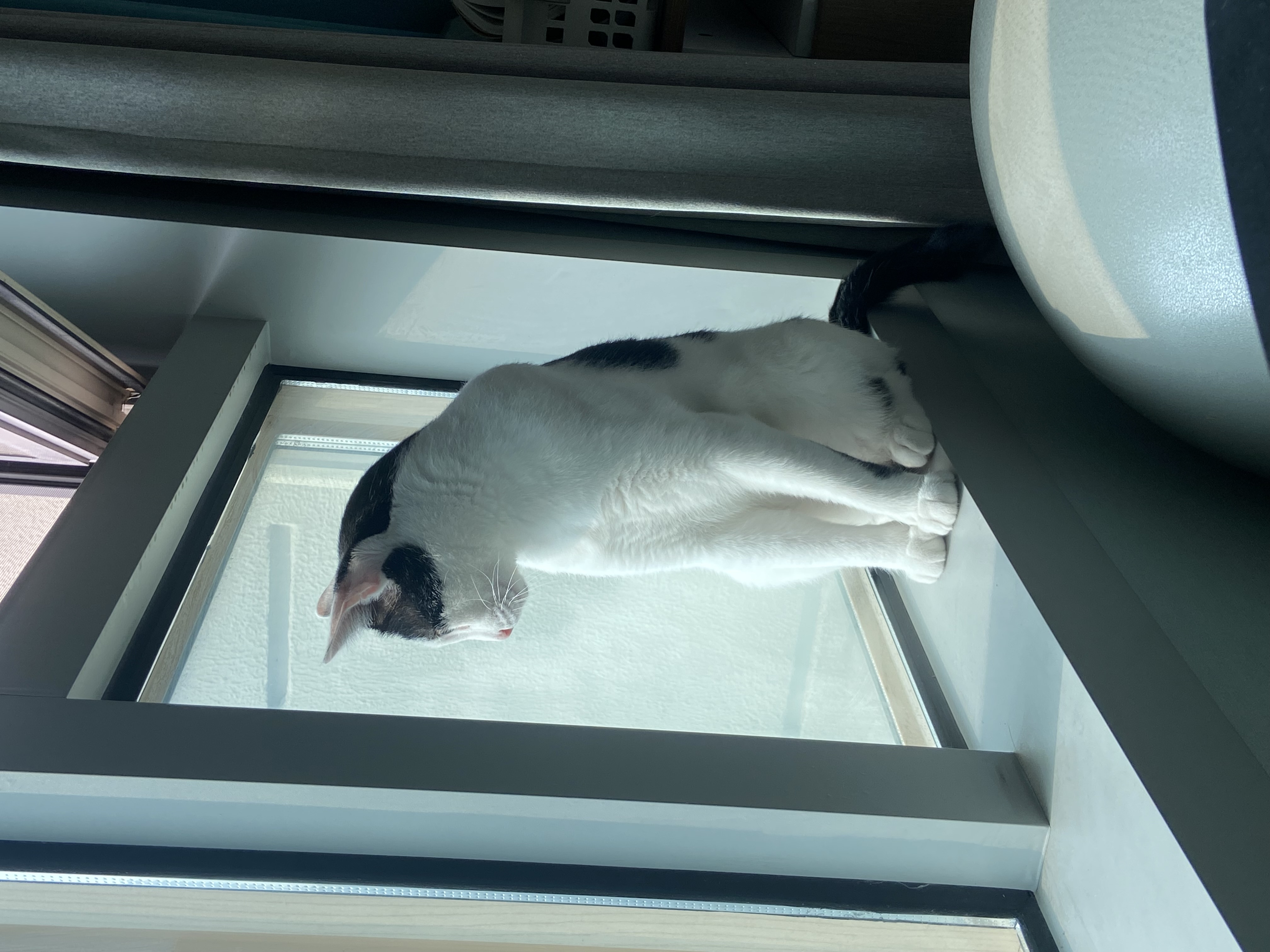 은하(구 늘찬) 일주차 후기