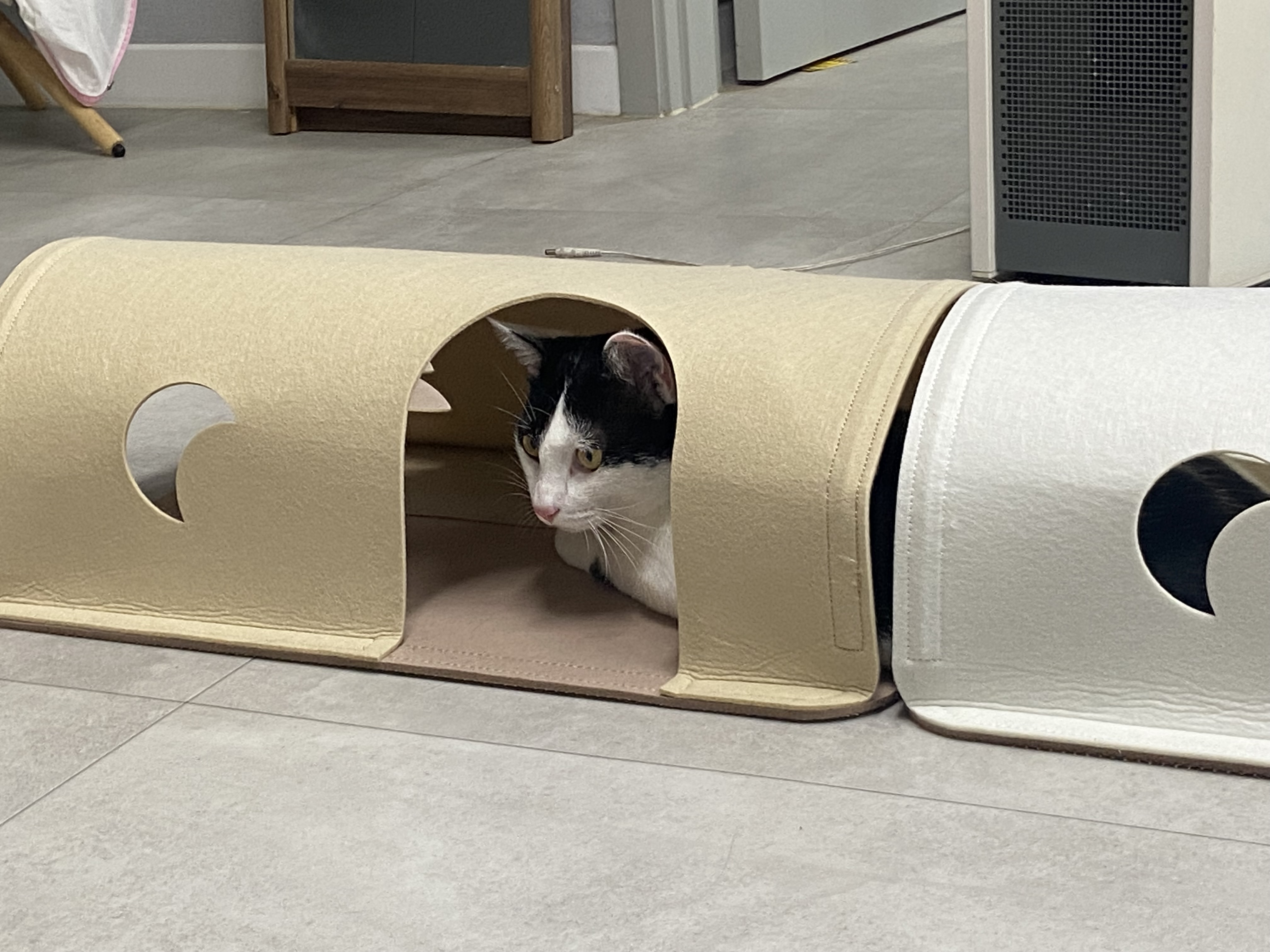 은하(구 늘찬) 일주차 후기