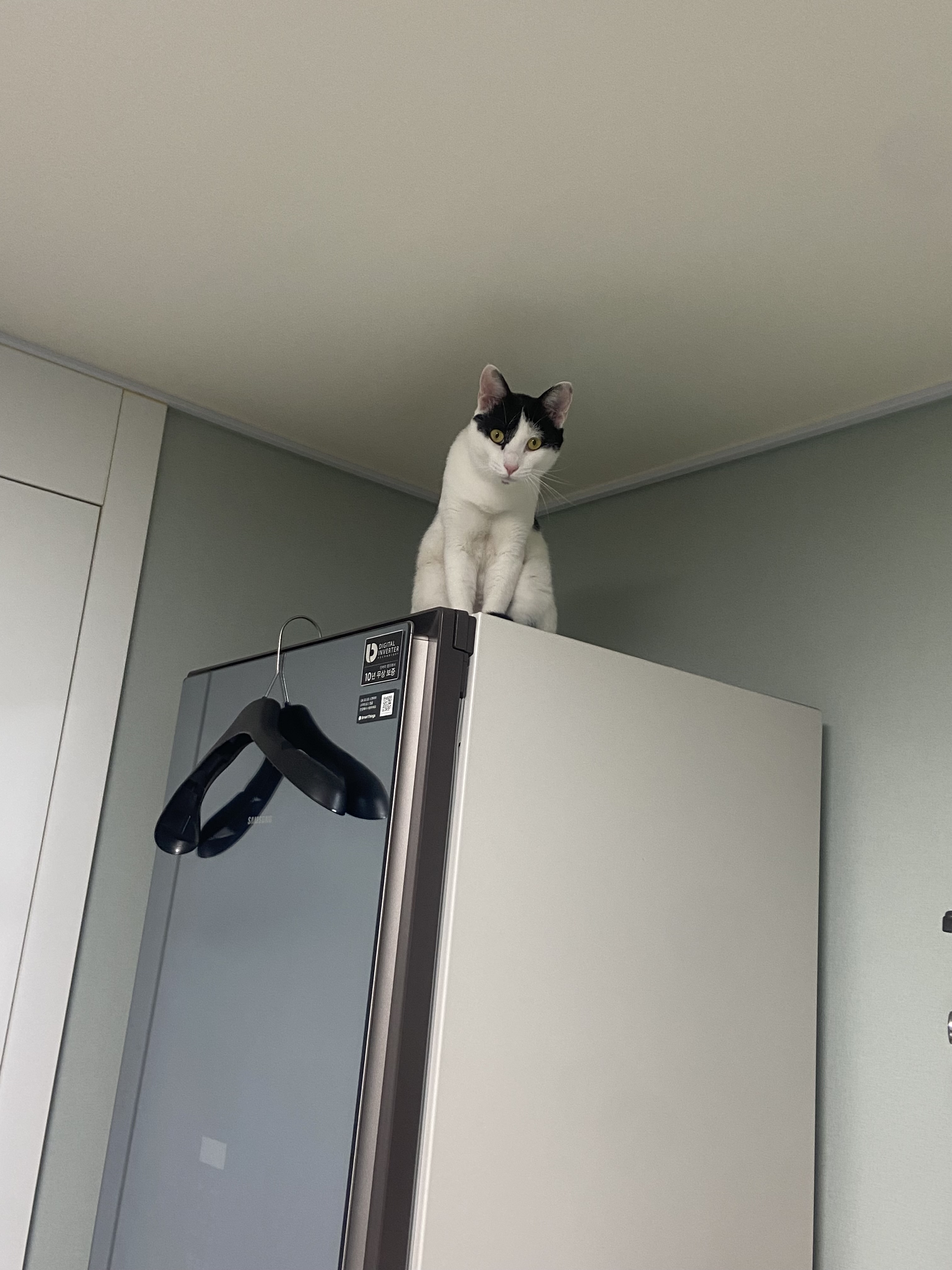 은하(구 늘찬) 일주차 후기