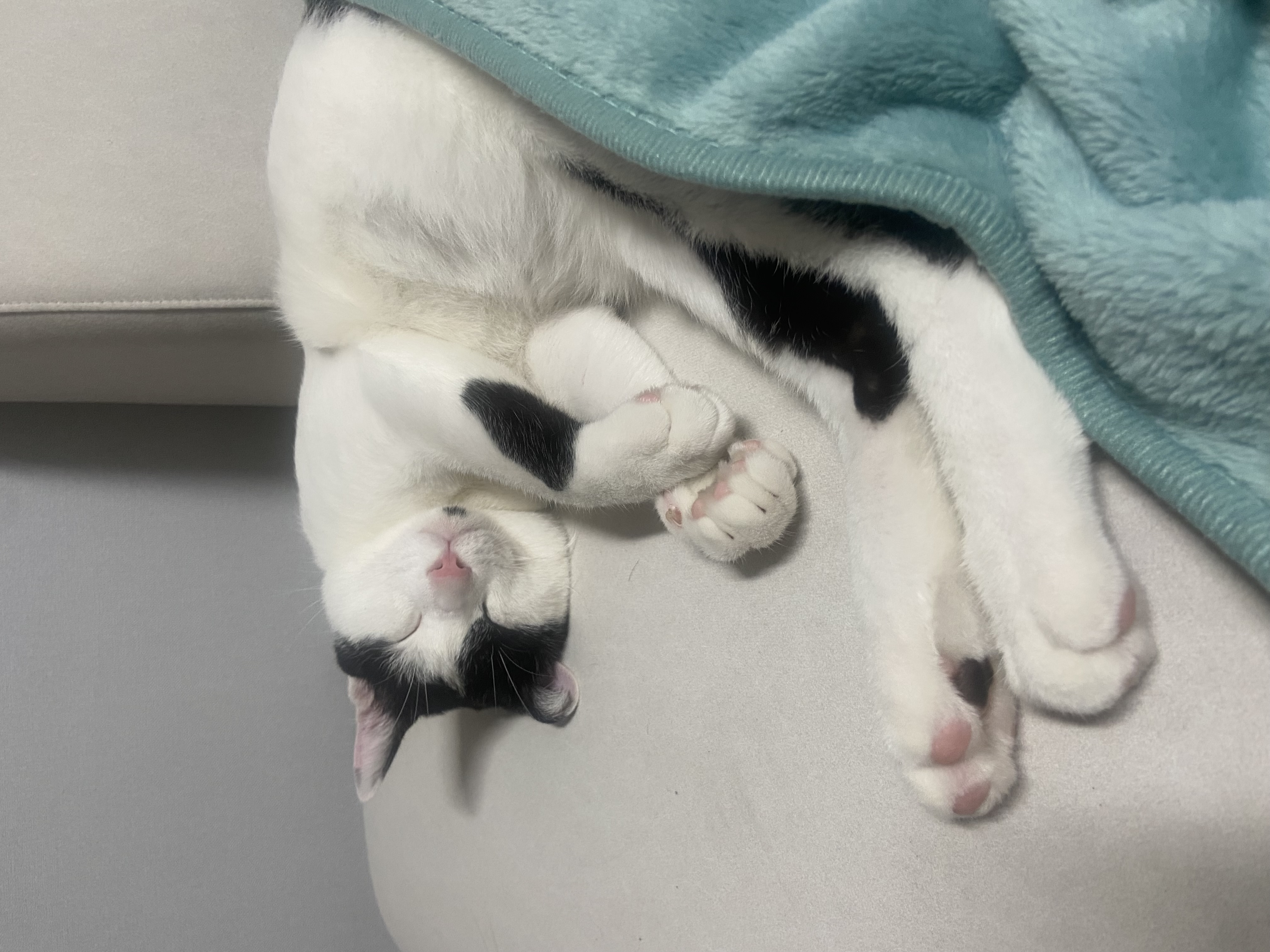 은하(구 늘찬) 일주차 후기