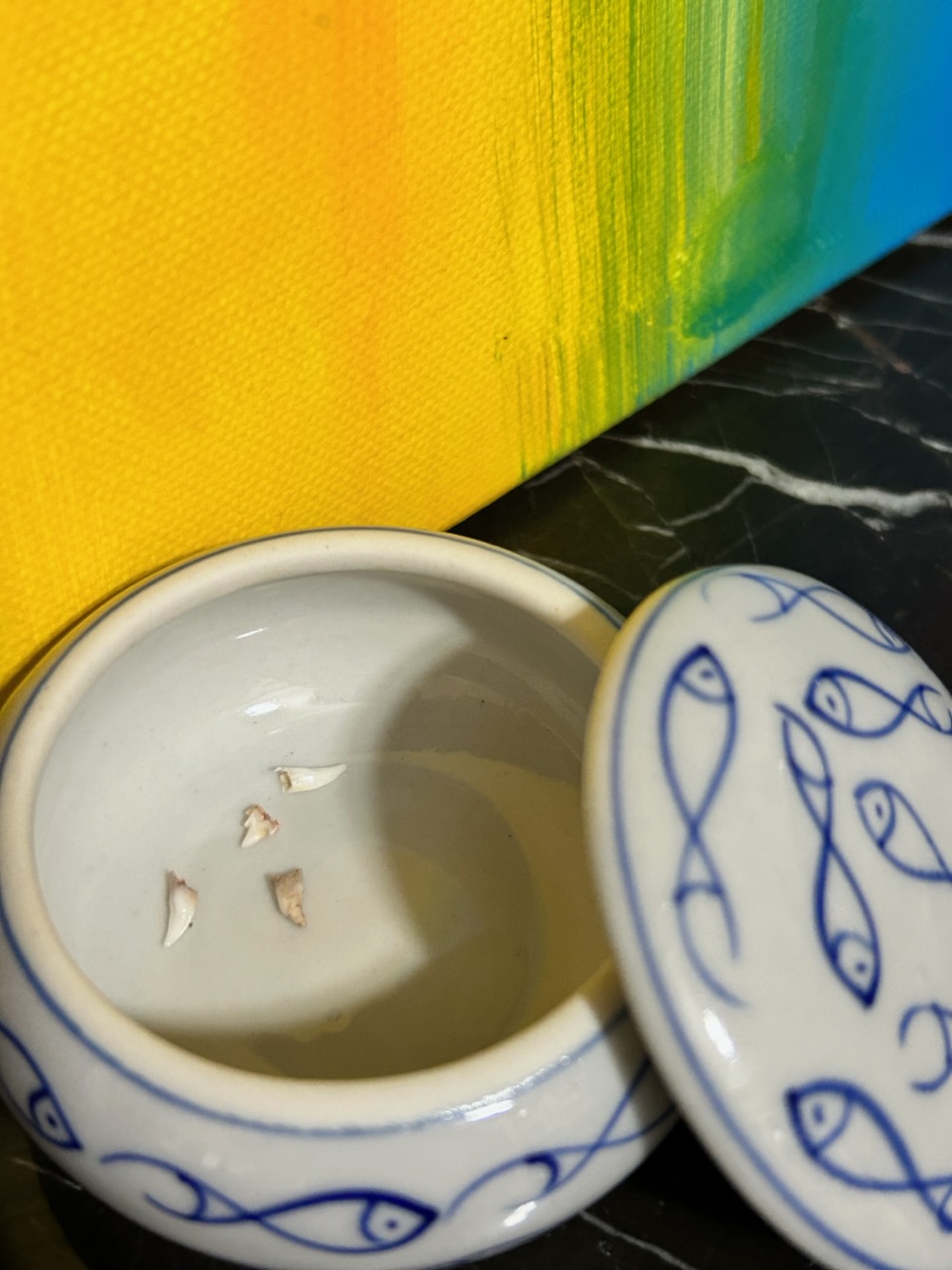 다윈이와의 한 달