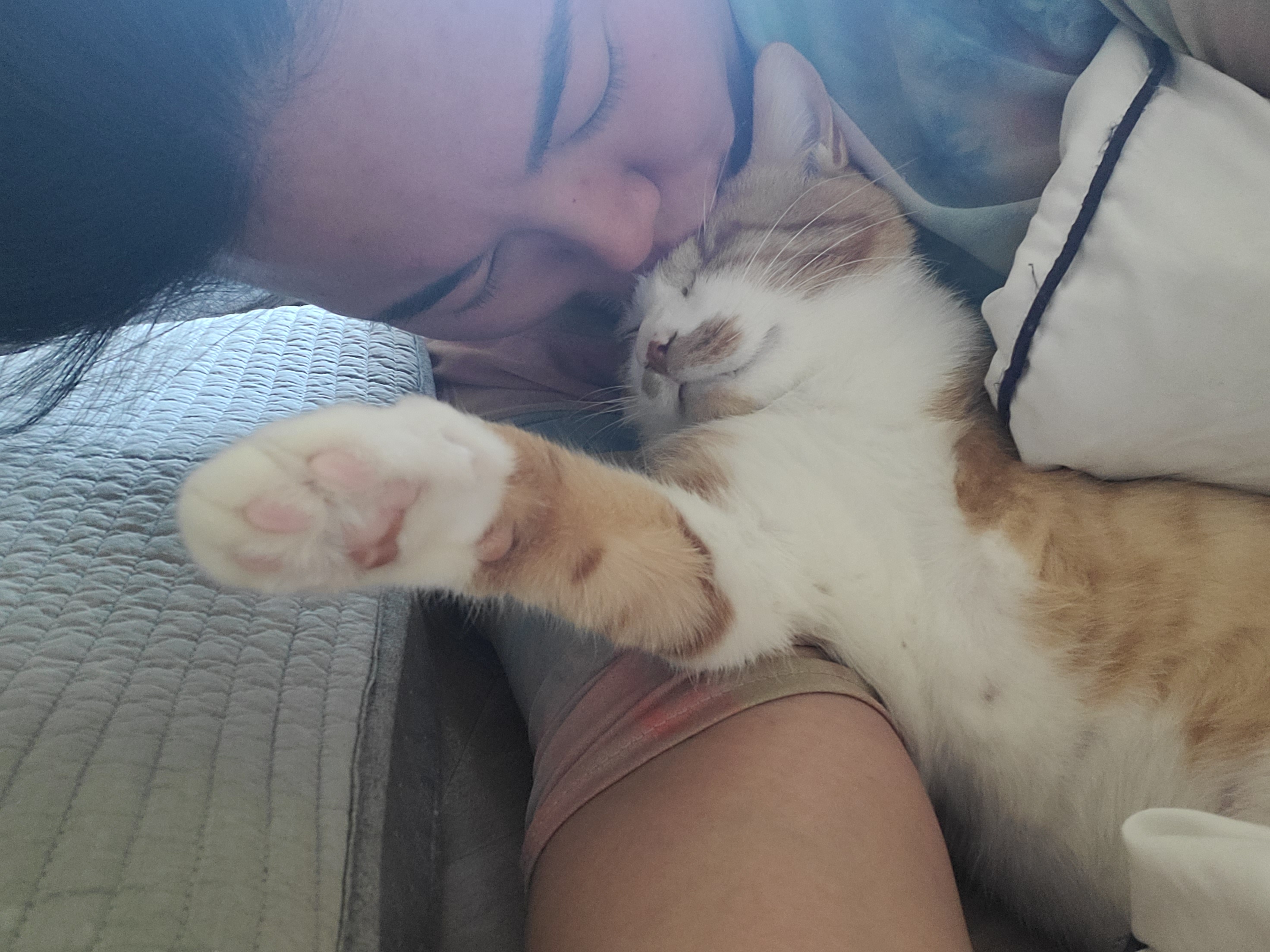 가티 (소나) 입양후기 (1년)