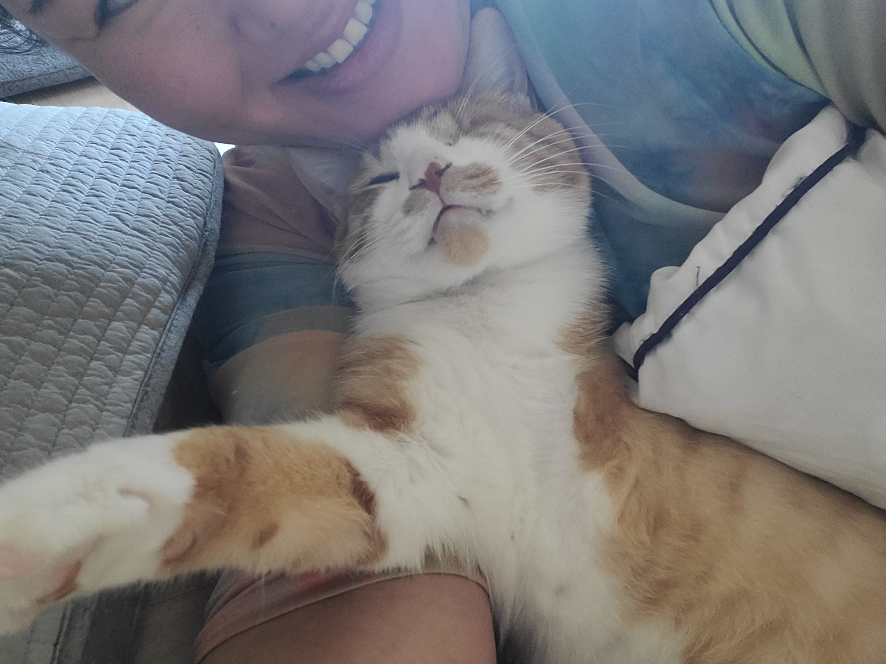 가티 (소나) 입양후기 (1년)