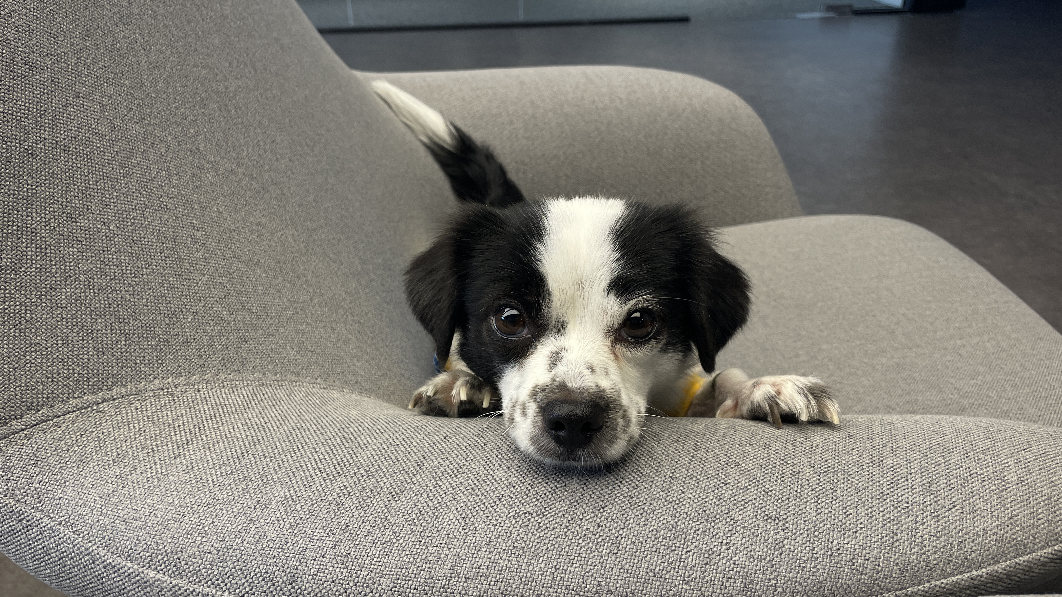 오구가 이지 된 지 벌써 2년이네요~!