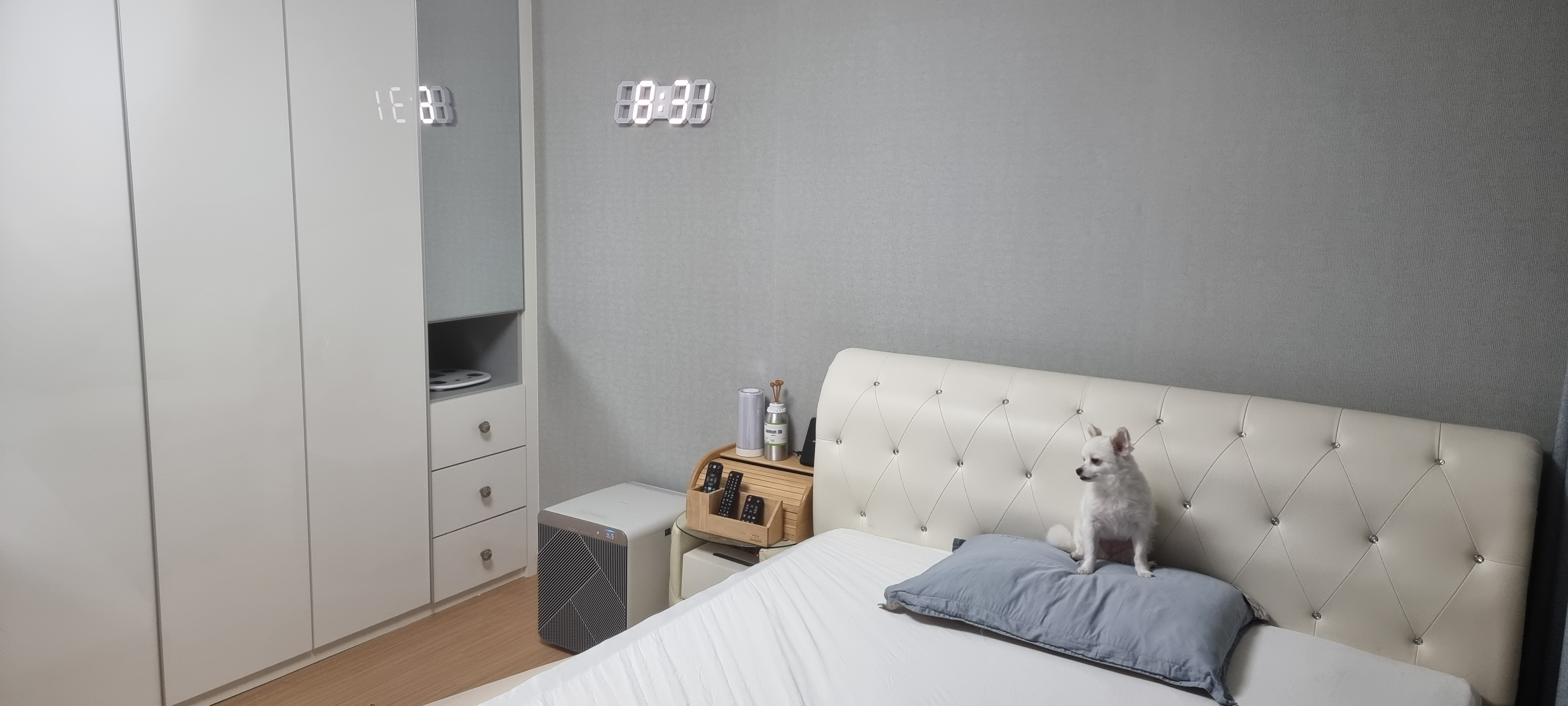 올리(아산 구조견), 유치원 갔어요