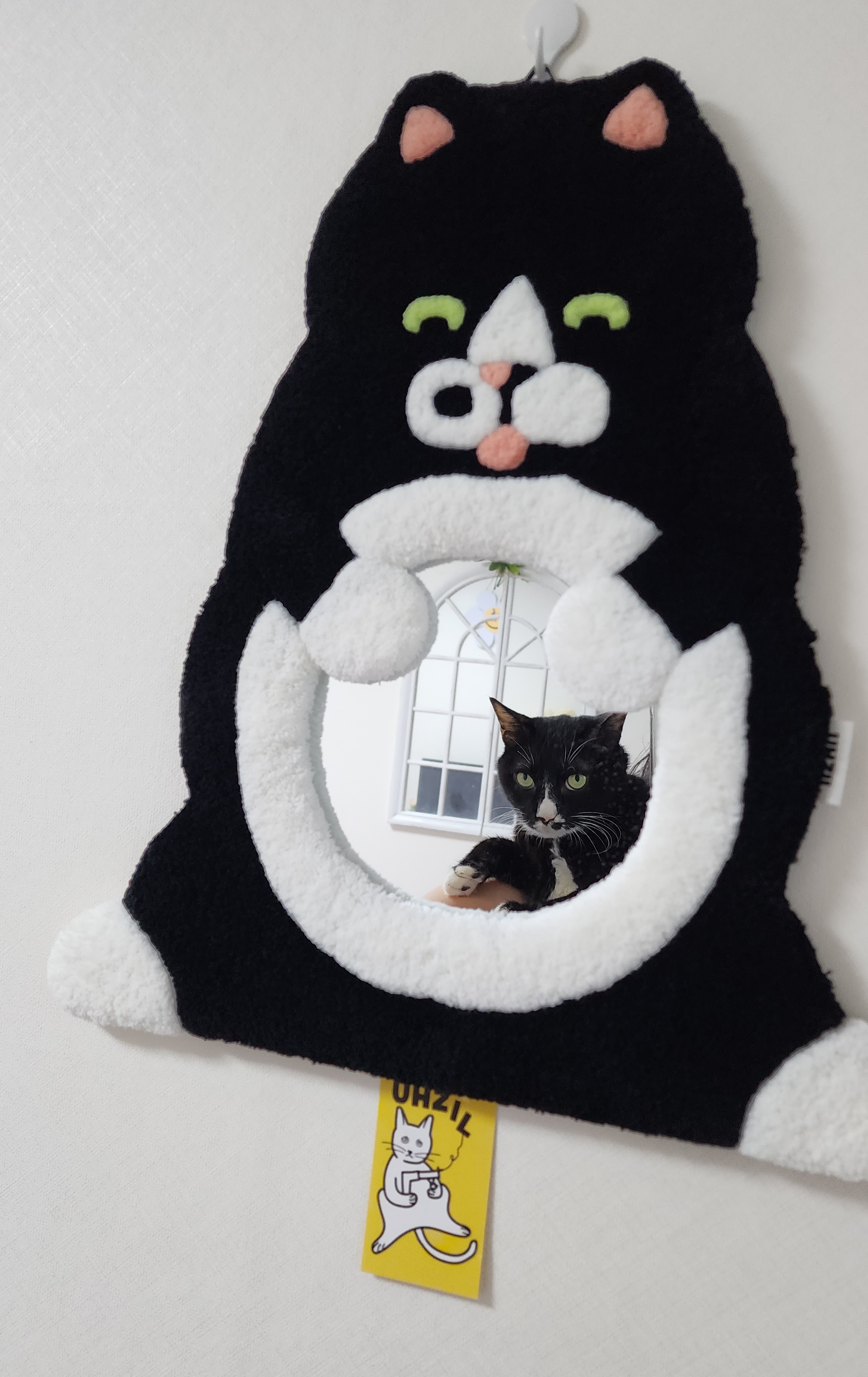 버찌 입양후기 1년