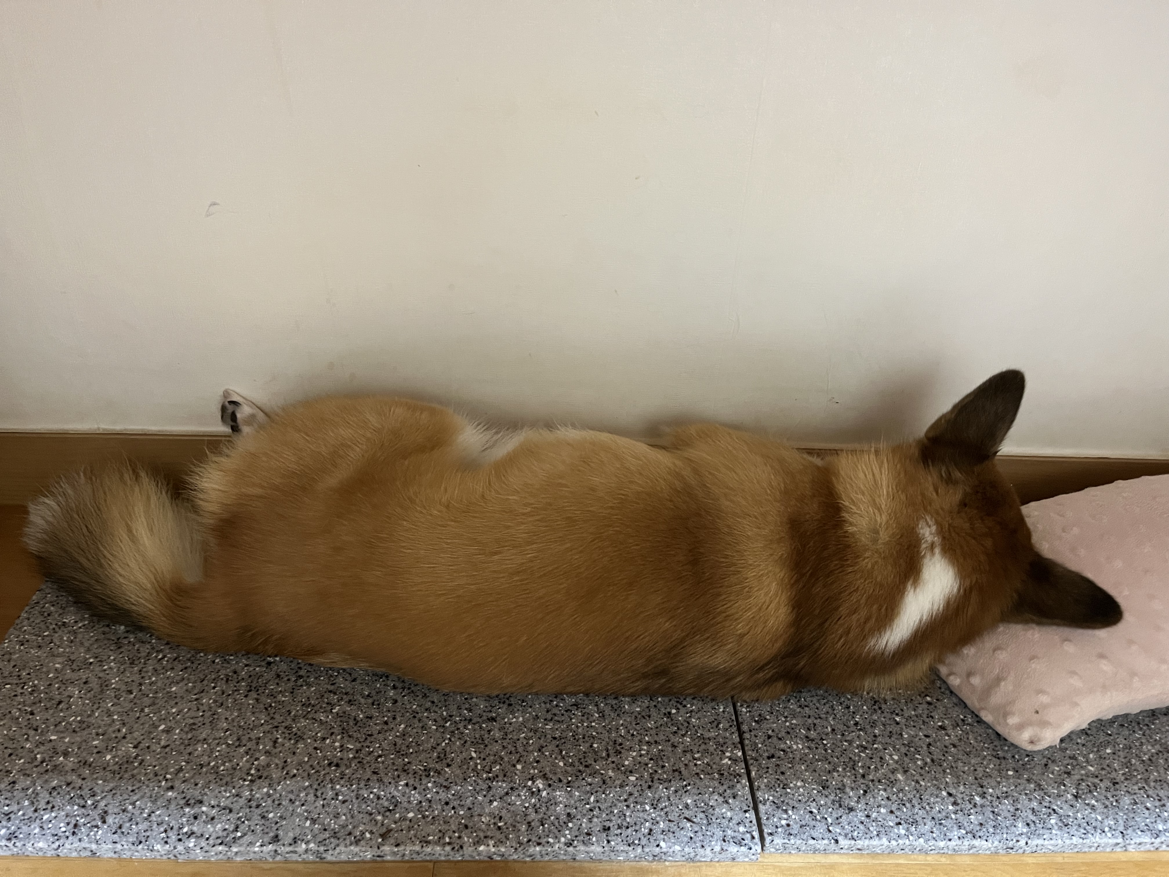 은이온지 3년차