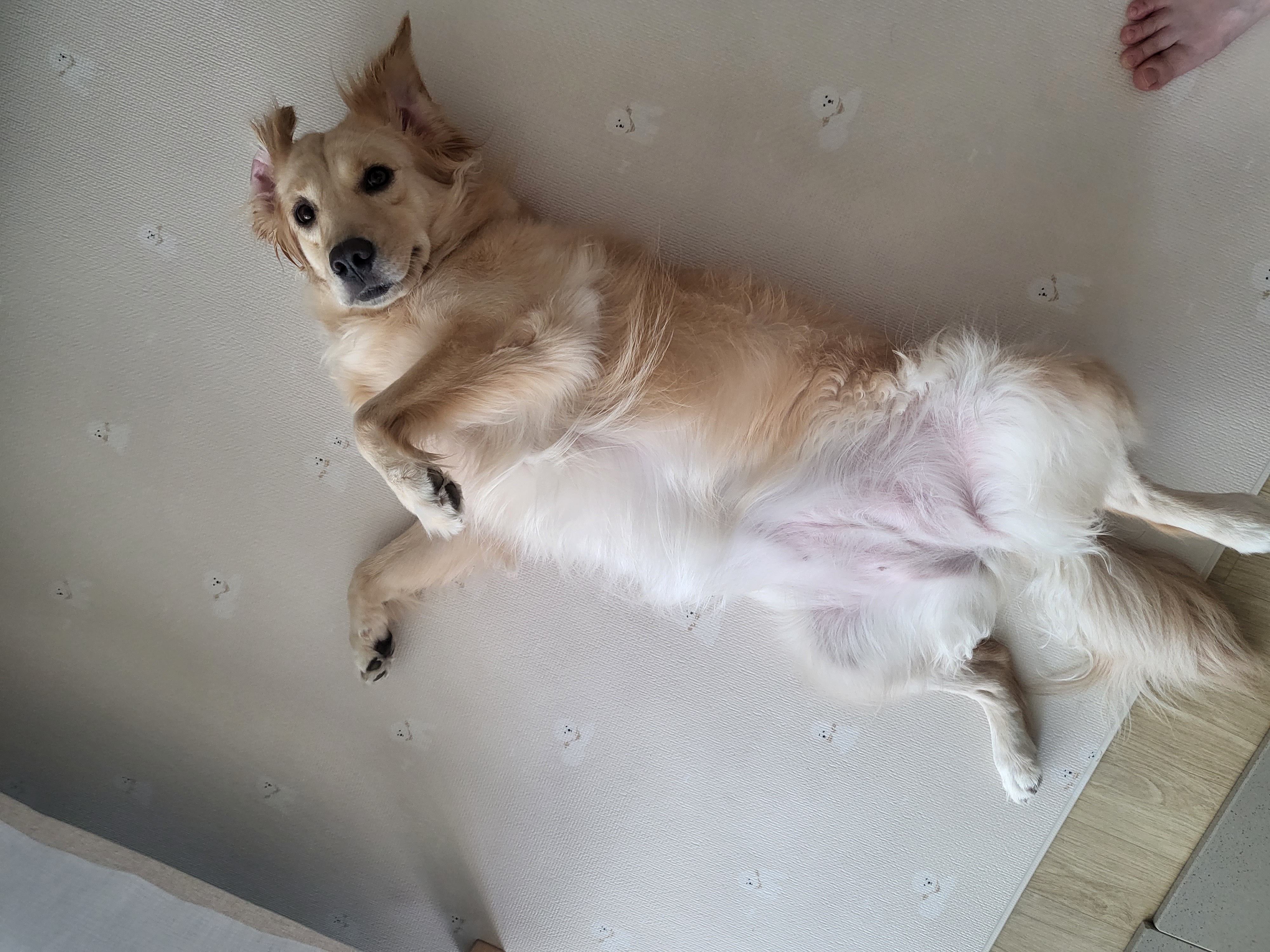 로제온지 벌써 3년ㅎ