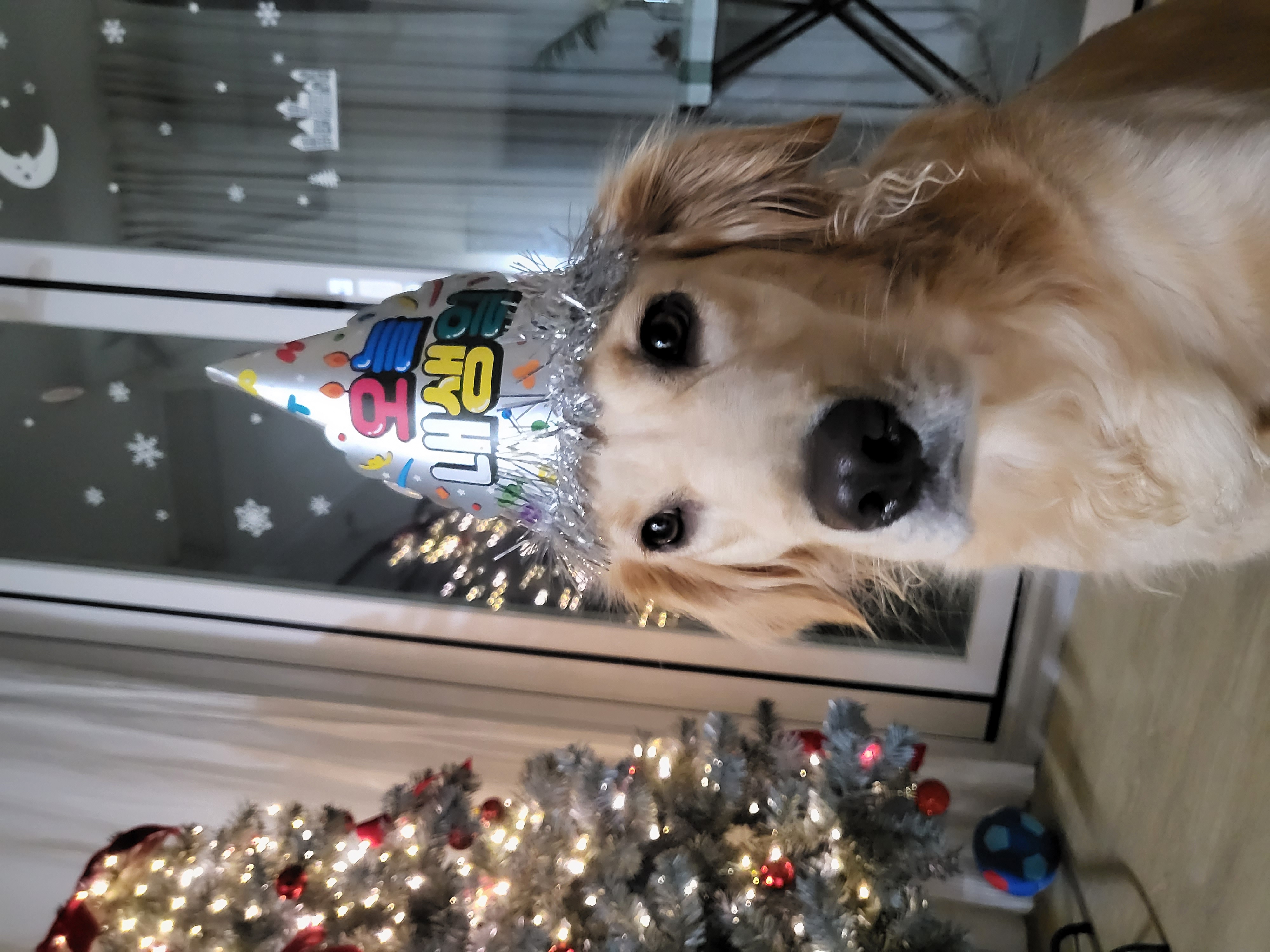 로제온지 벌써 3년ㅎ