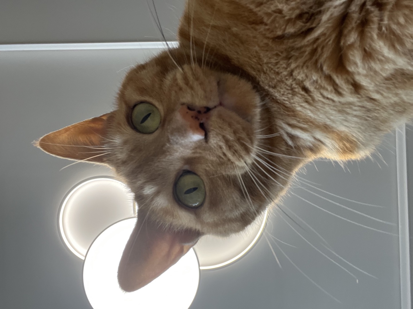 안녕하세요~ 용식이에요. (일년후)