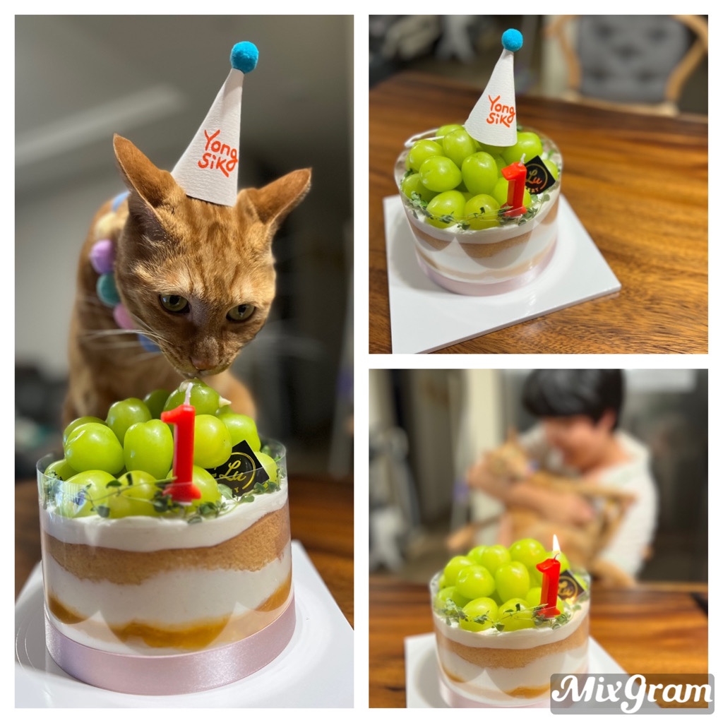 안녕하세요~ 용식이에요. (일년후)