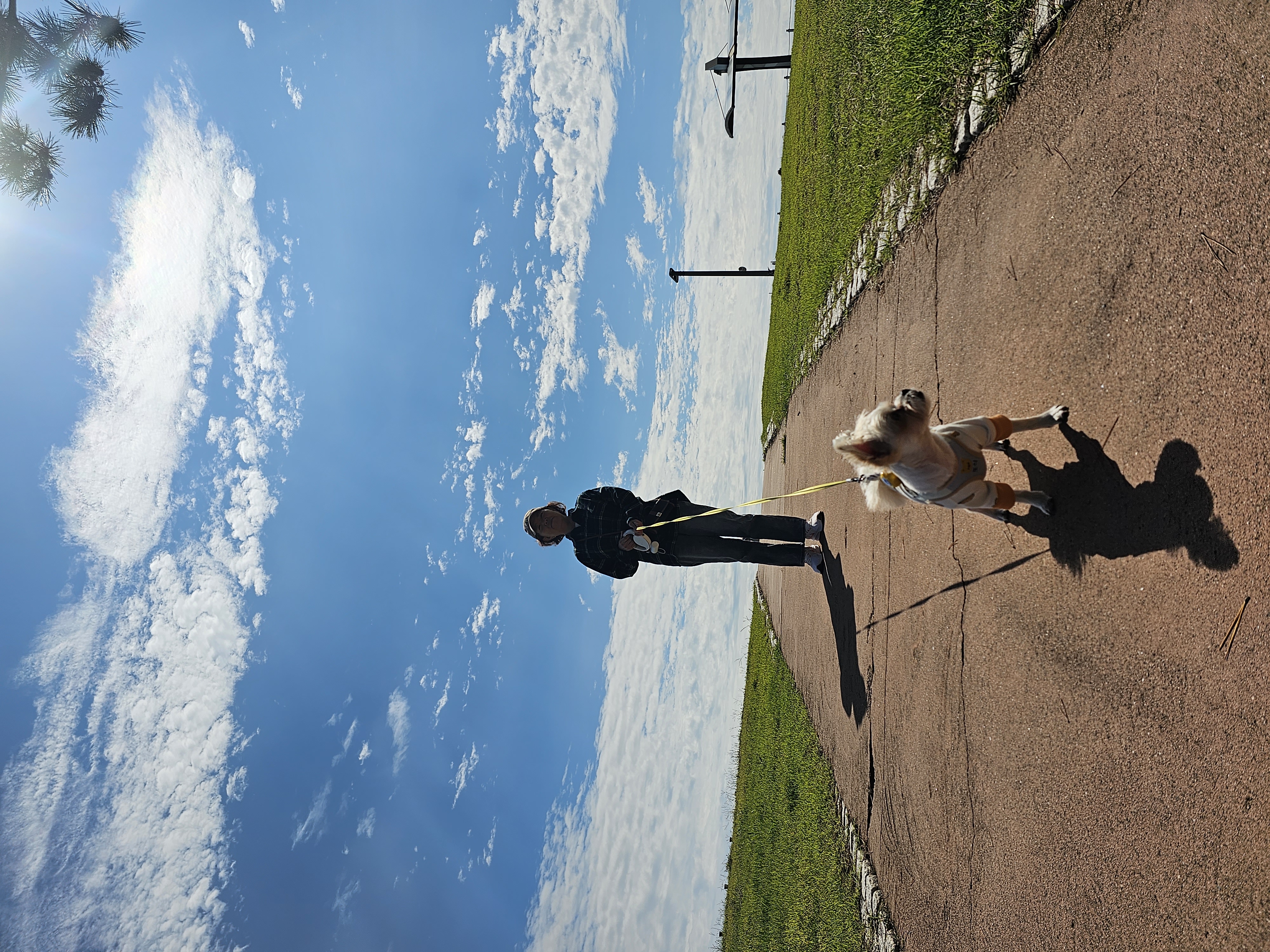 사랑쟁이 두식(엘디) 1년 입양후기