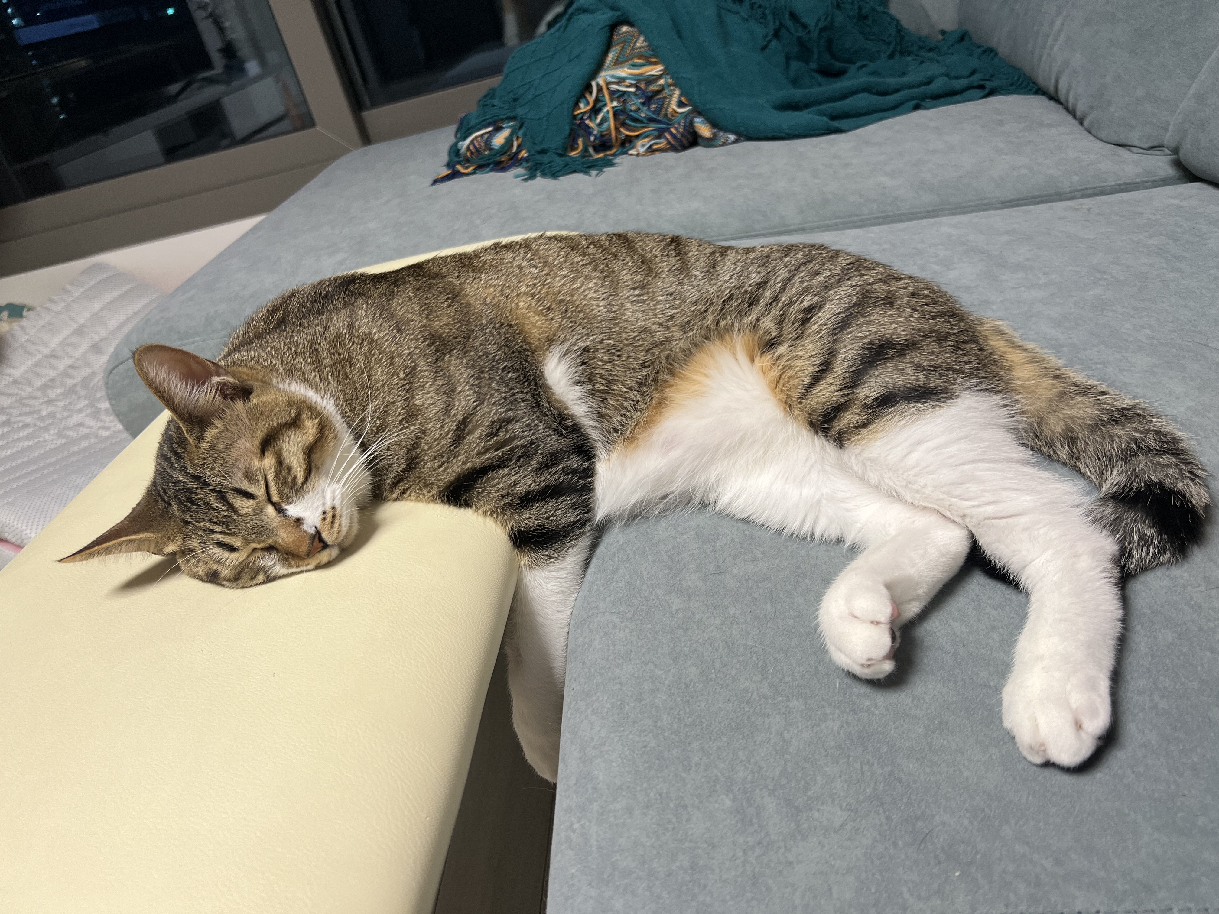 타바사(구 트윙클) 근황입니다❤️