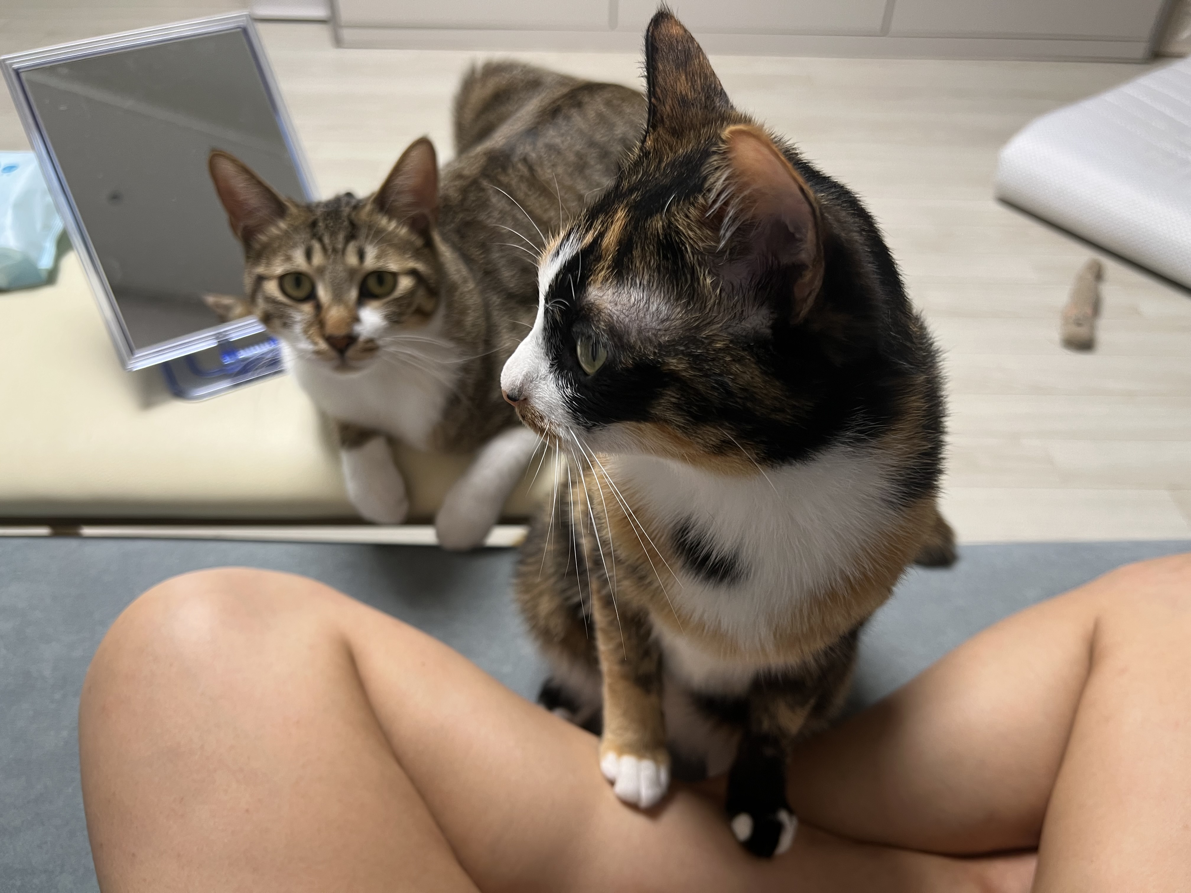 타바사(구 트윙클) 근황입니다❤️