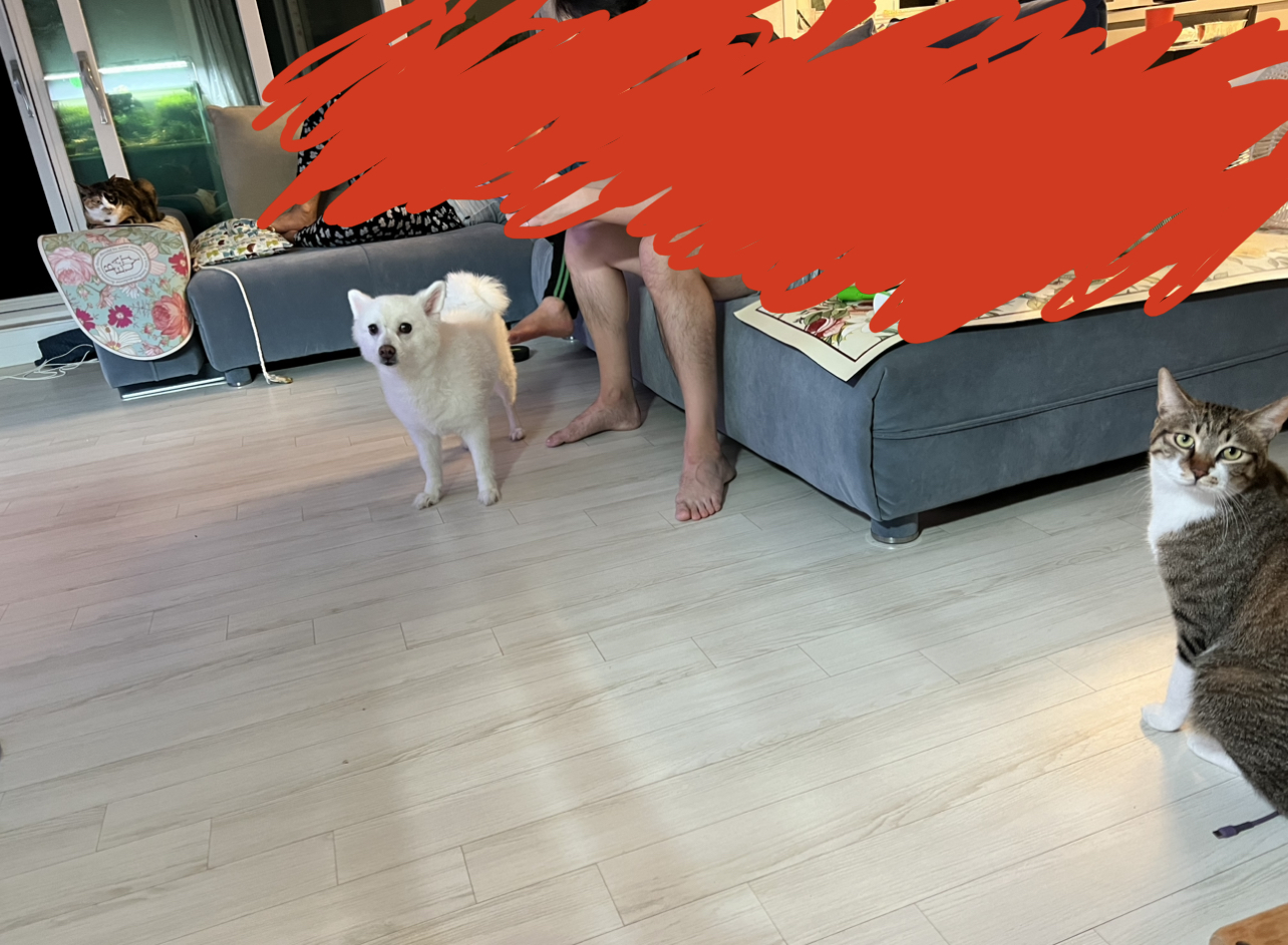 타바사(구 트윙클) 근황입니다❤️