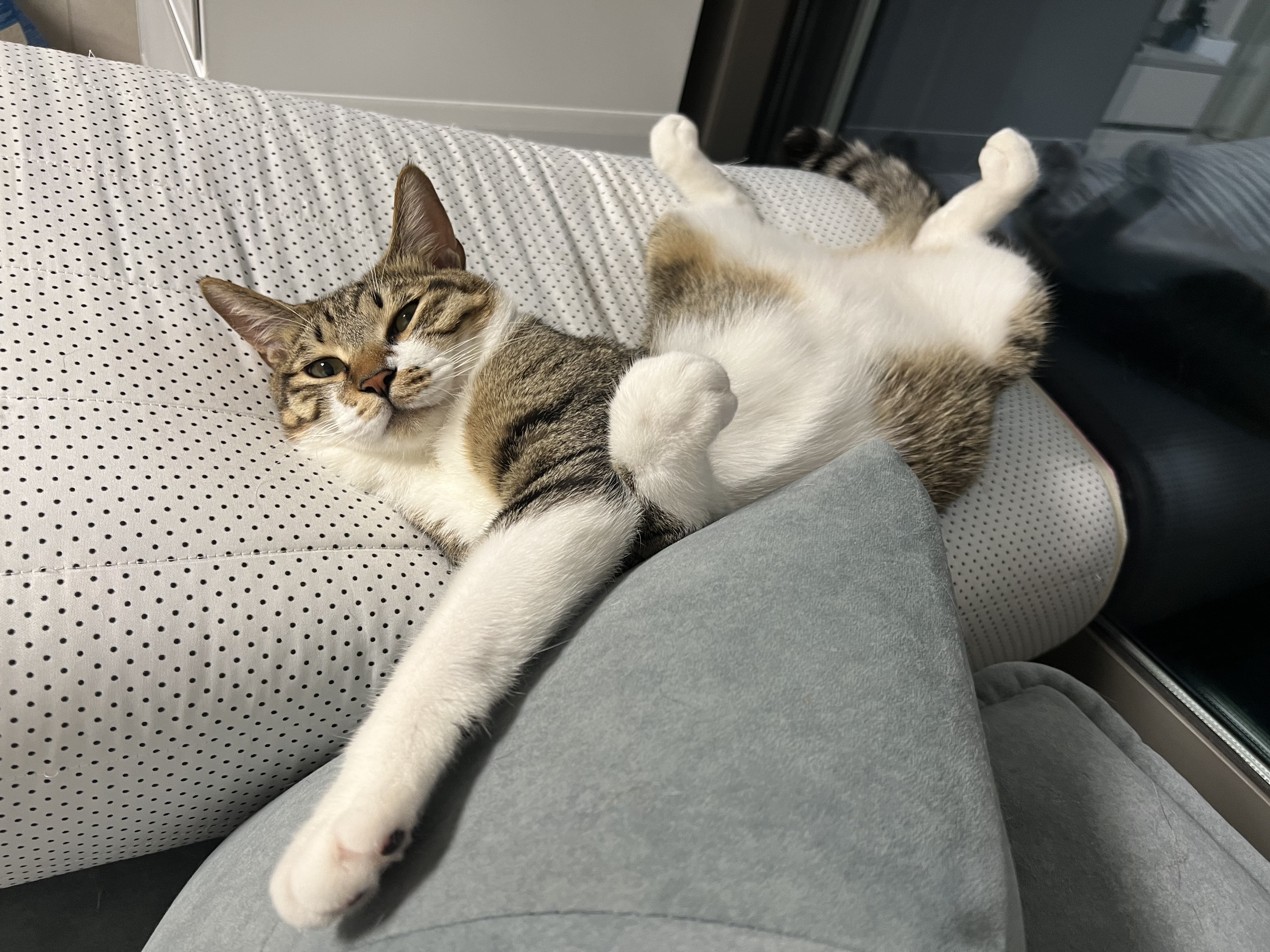 타바사(구 트윙클) 근황입니다❤️