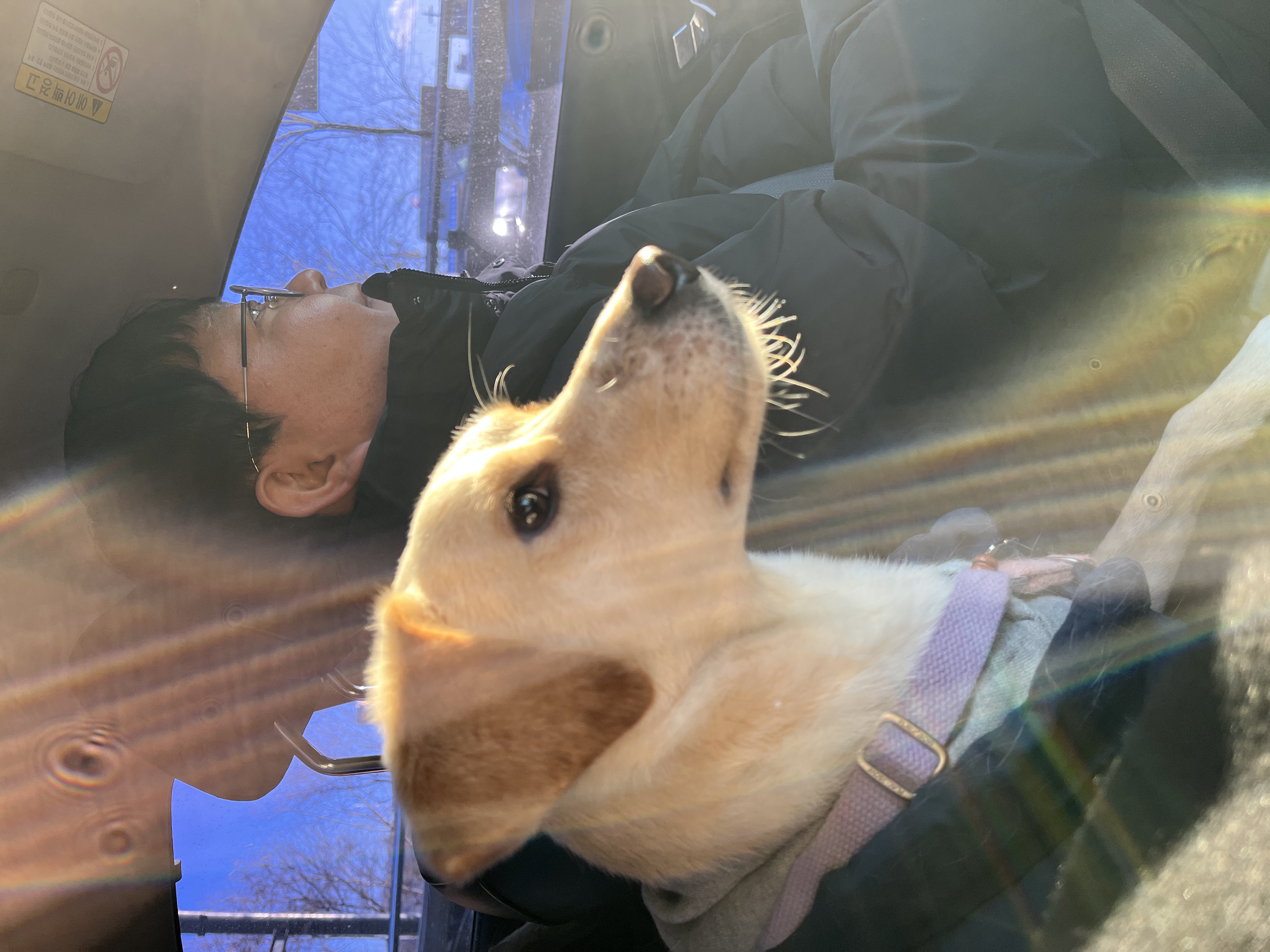 구 멍구 현 아토 집에 온 지 3년!!