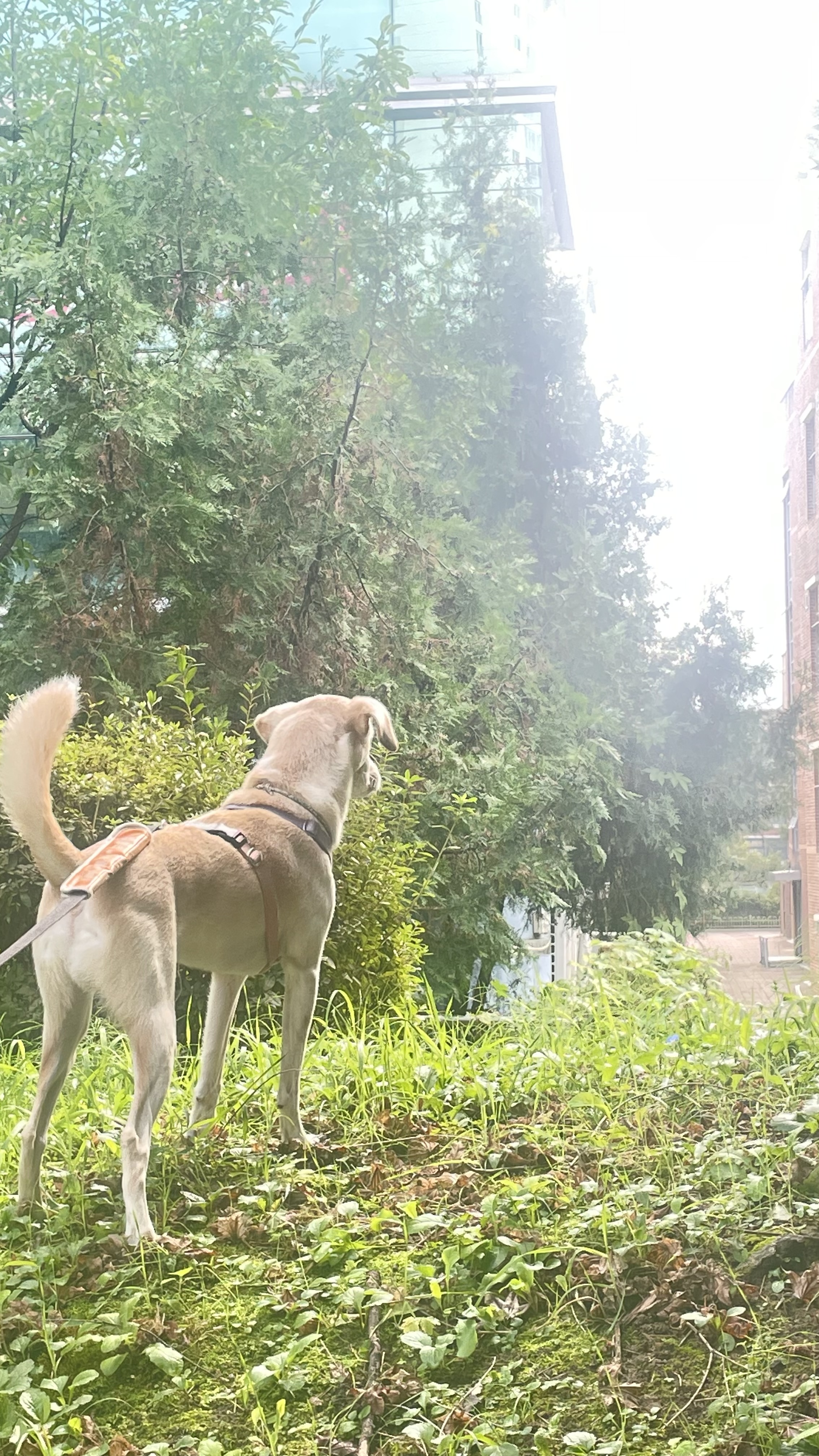 구 멍구 현 아토 집에 온 지 3년!!