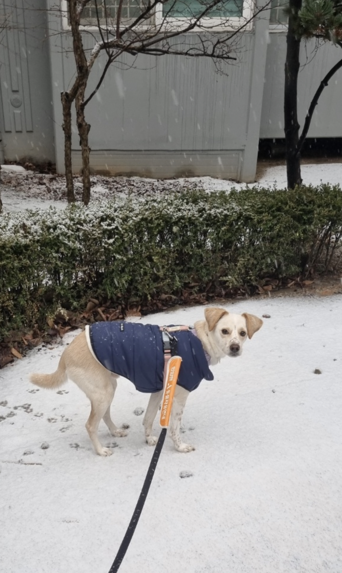 구 멍구 현 아토 집에 온 지 3년!!
