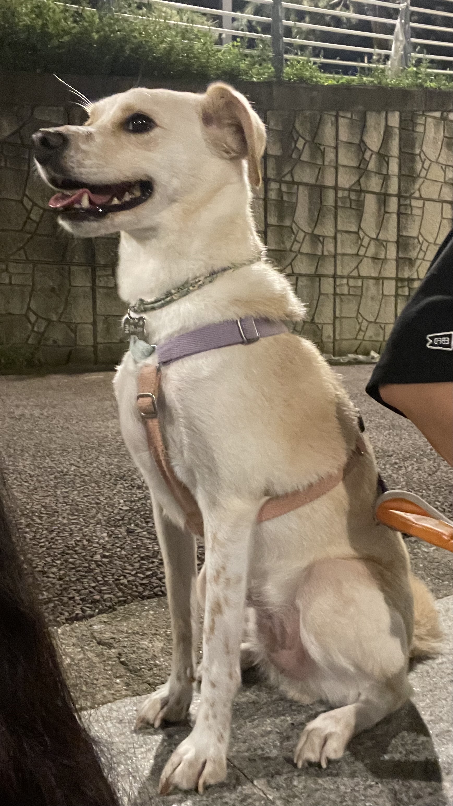 구 멍구 현 아토 집에 온 지 3년!!