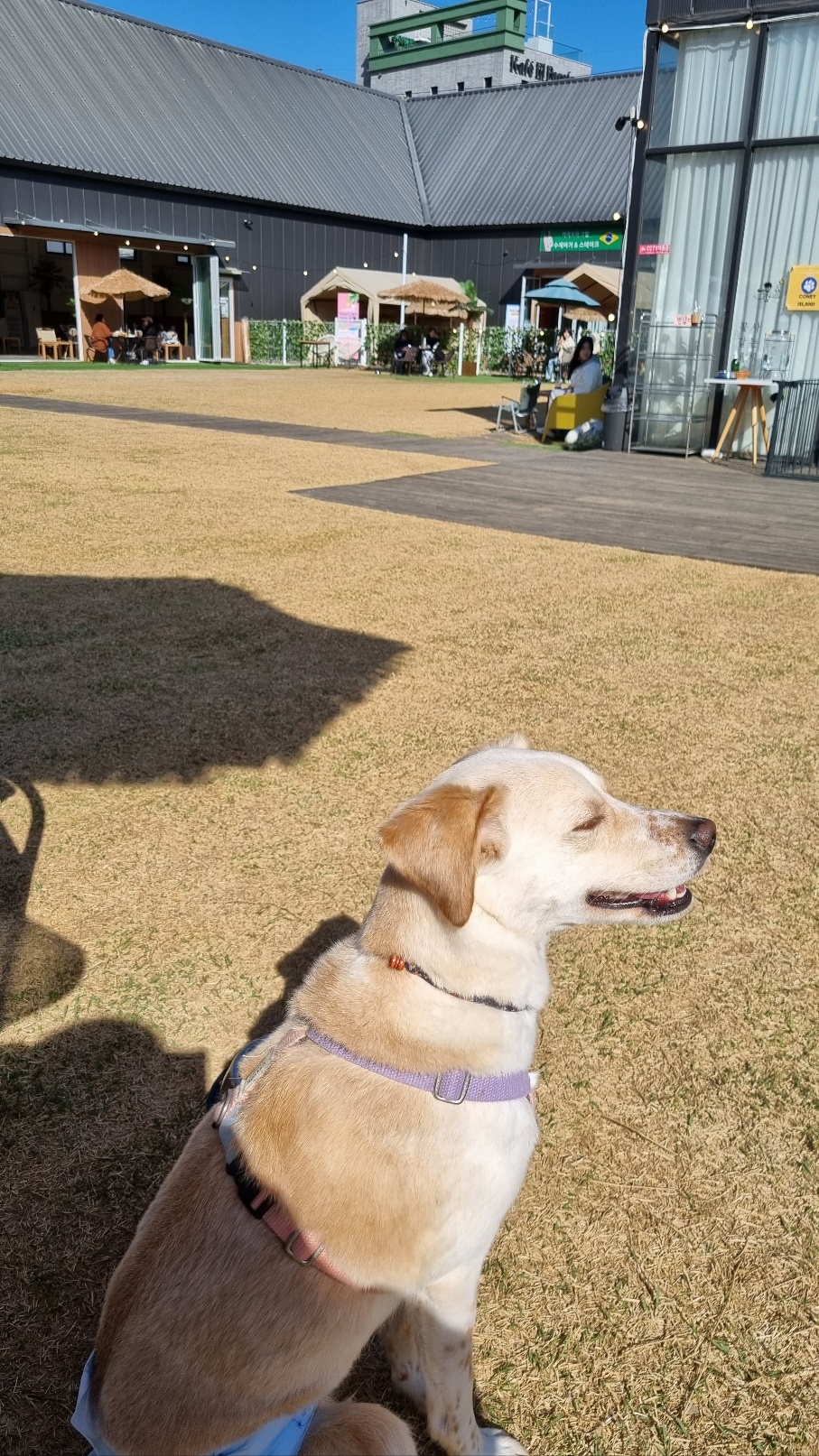 구 멍구 현 아토 집에 온 지 3년!!