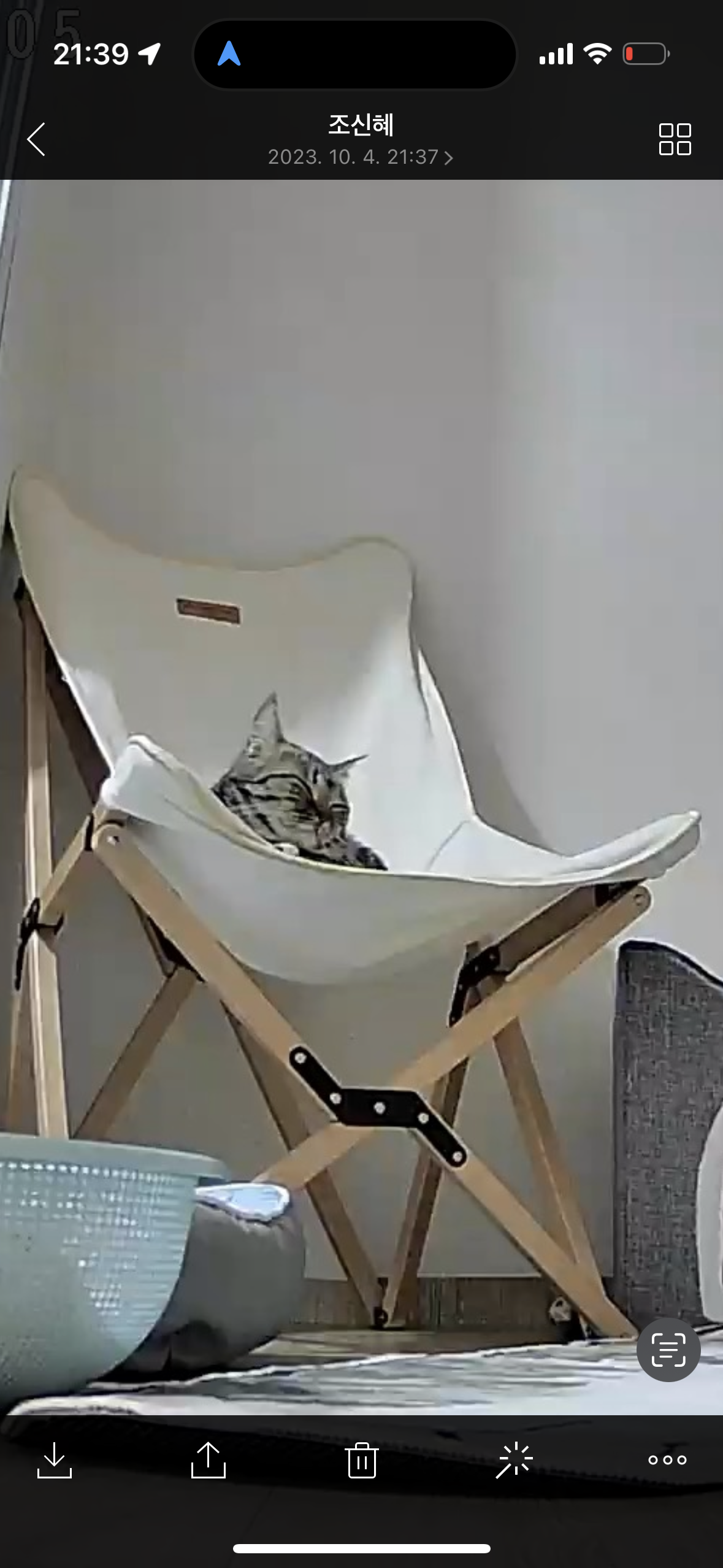 아슬이 입양 일주일차 후기 입니다:)