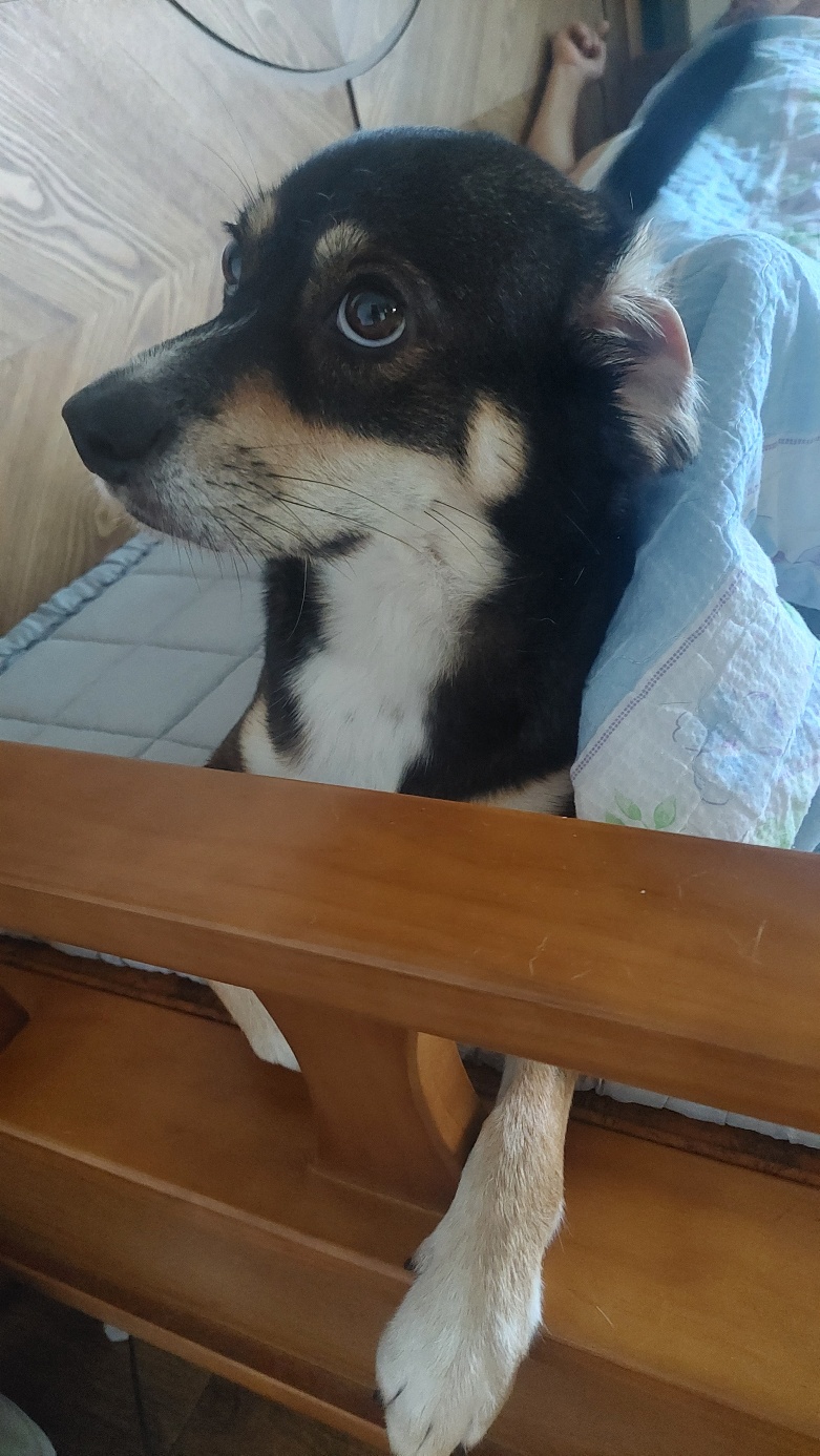 멍돌이가 까미가 된지 벌써 3년