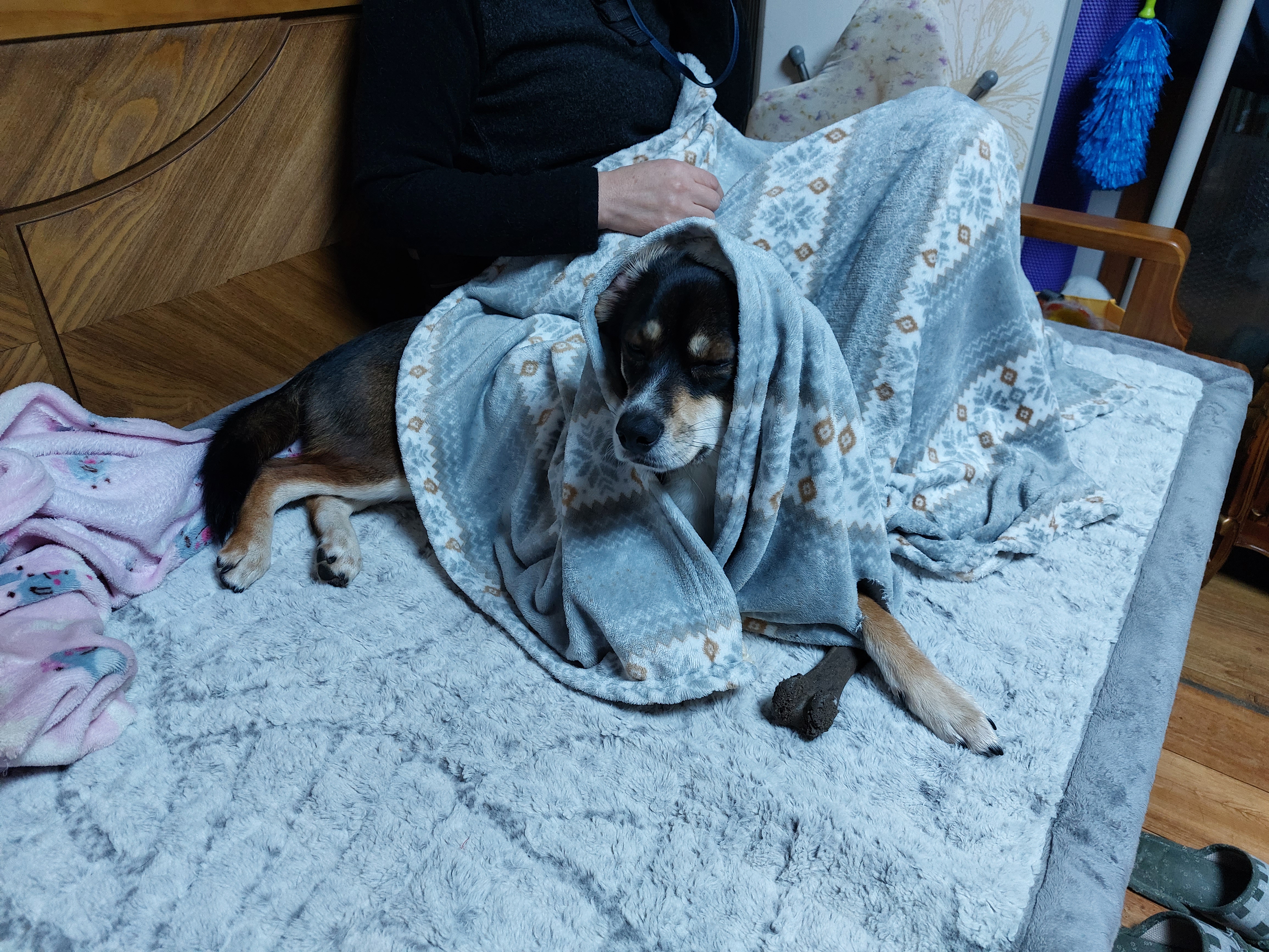 멍돌이가 까미가 된지 벌써 3년