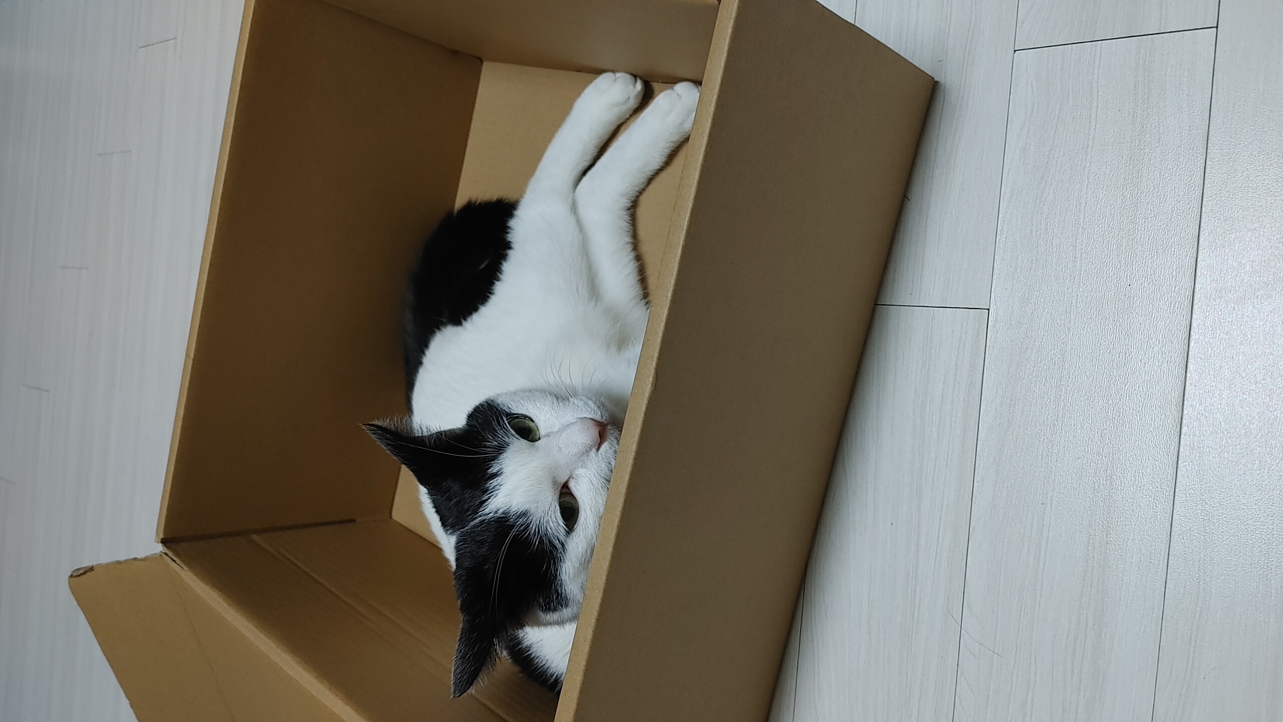 하니영이 예쁜우리애기들 좀 보세요~