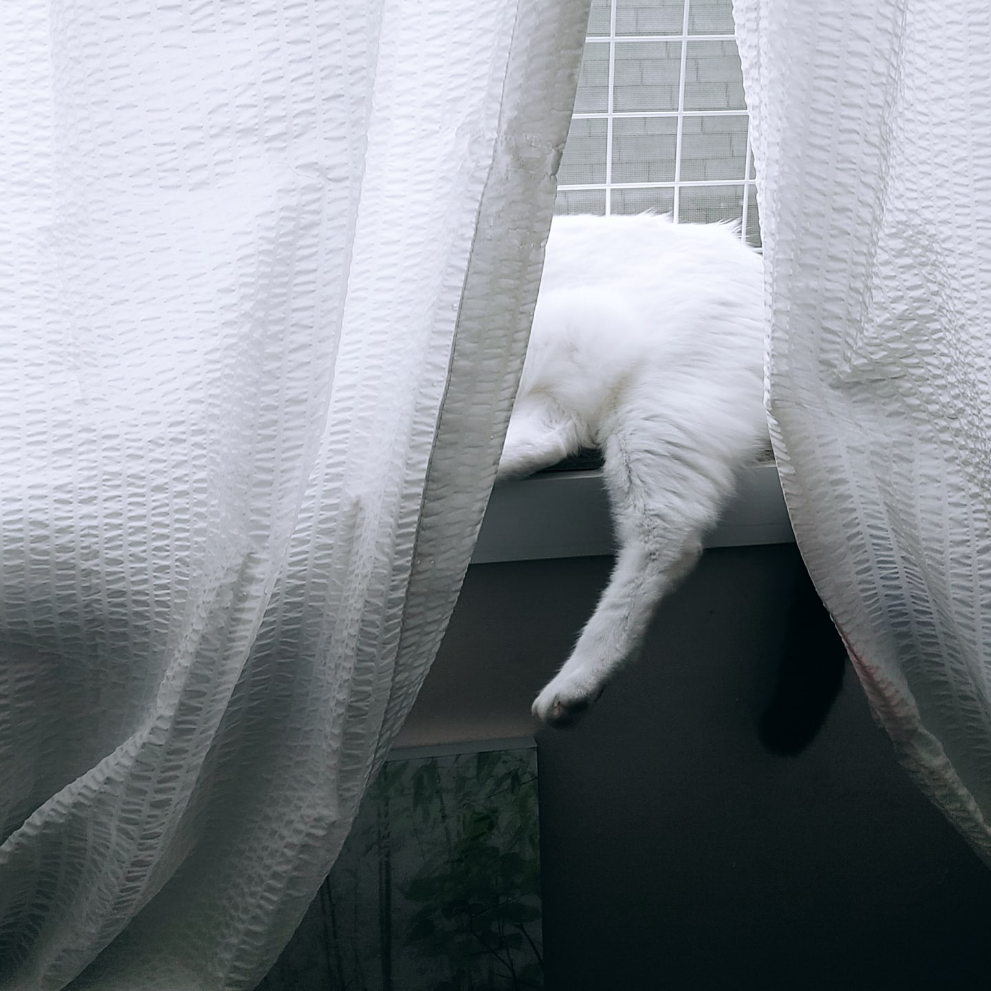 하니영이 예쁜우리애기들 좀 보세요~