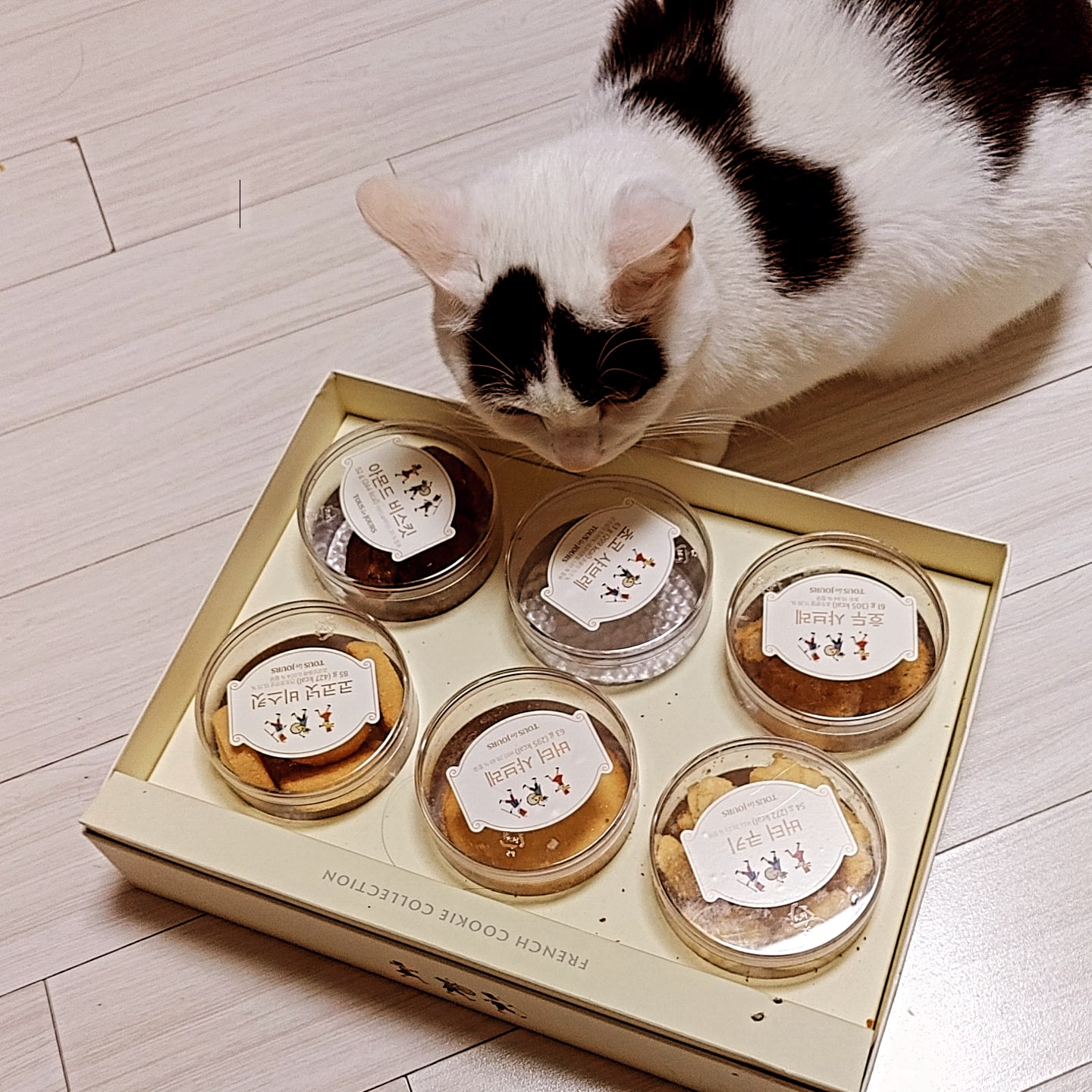 하니영이 예쁜우리애기들 좀 보세요~