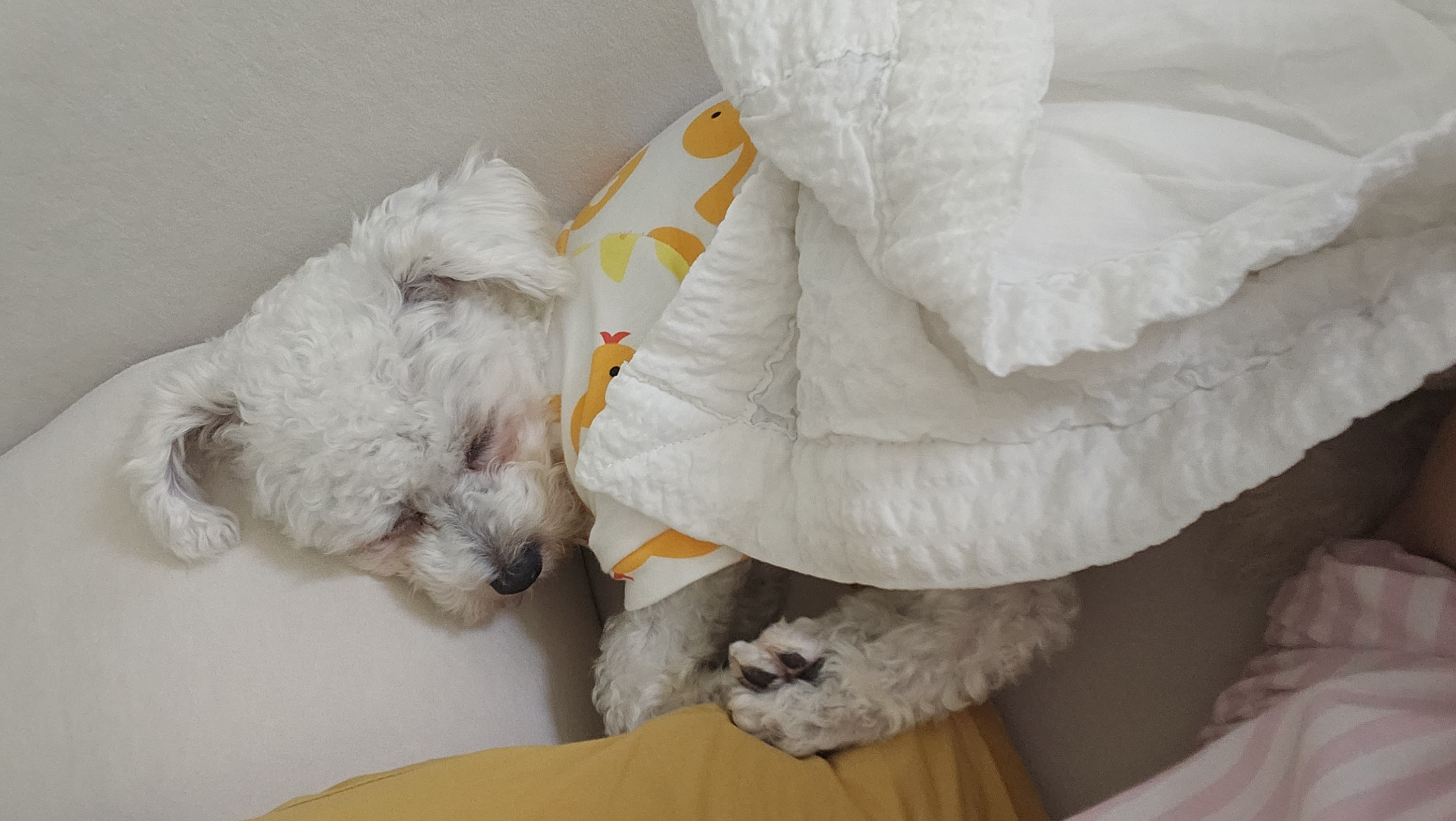 열무(구 아솜)의 한달 이야기